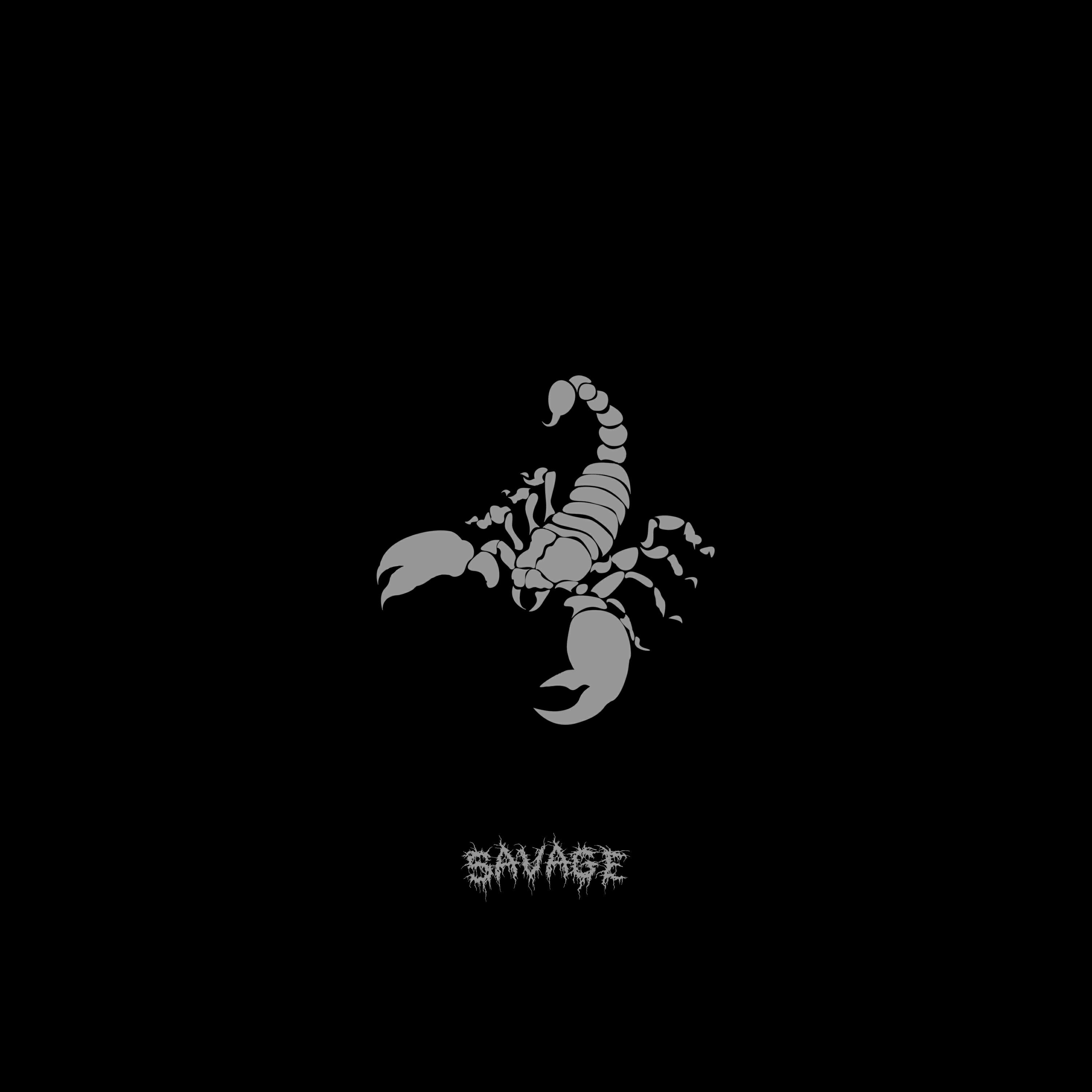 Постер альбома Savage