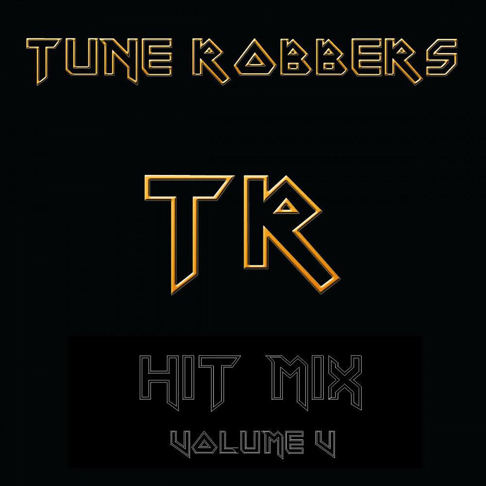 Постер альбома The Tune Robbers Play Hit Mix Vol. 5