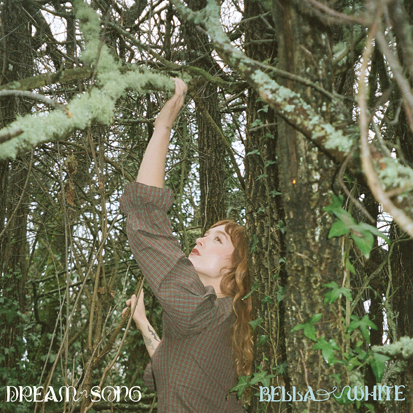 Релиз Dream Song