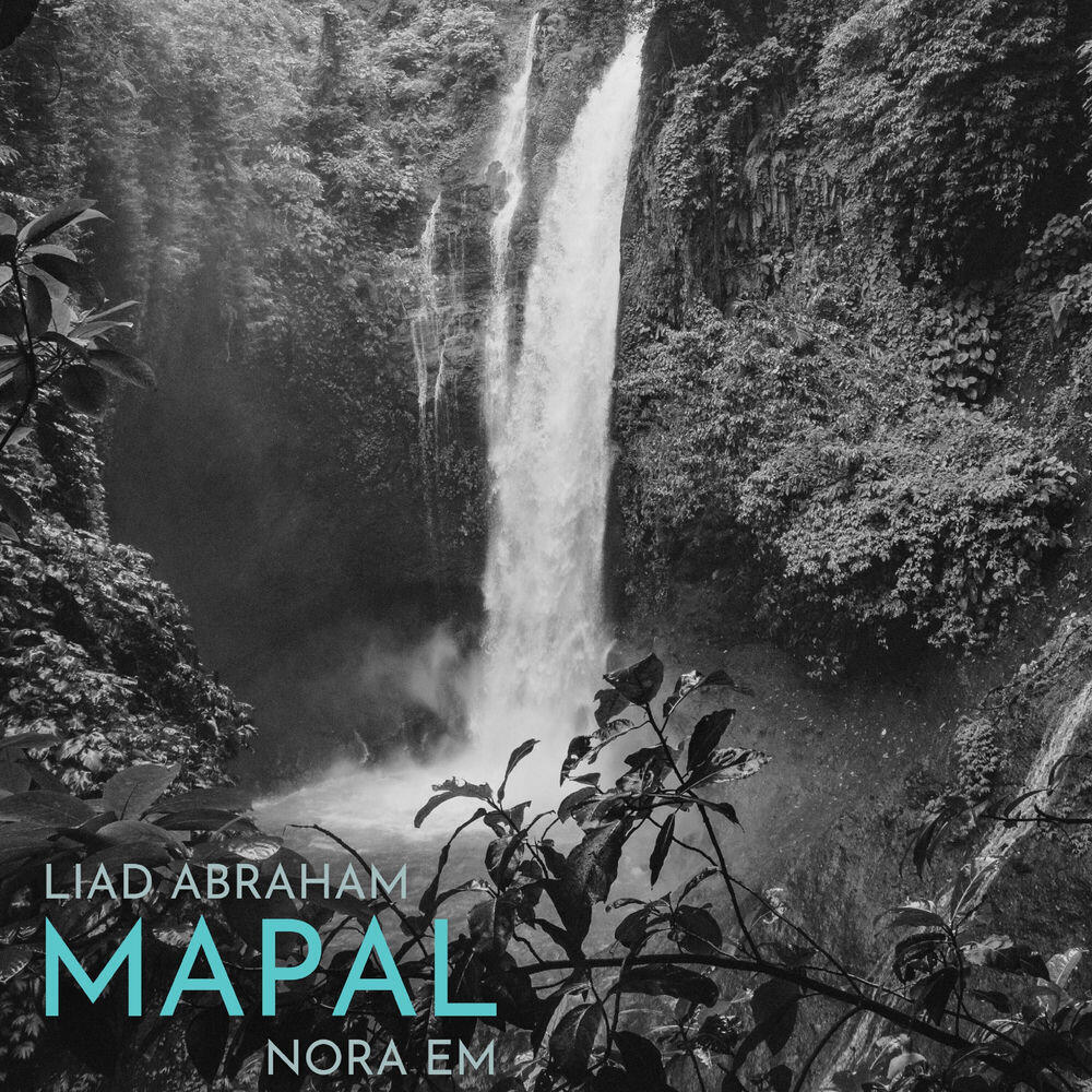 Релиз Mapal