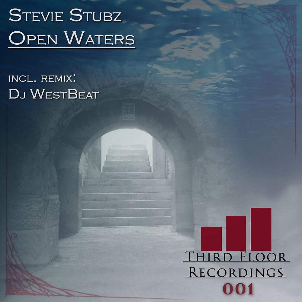 Релиз Open Waters (Inclusive Remix DJ Westbeat)