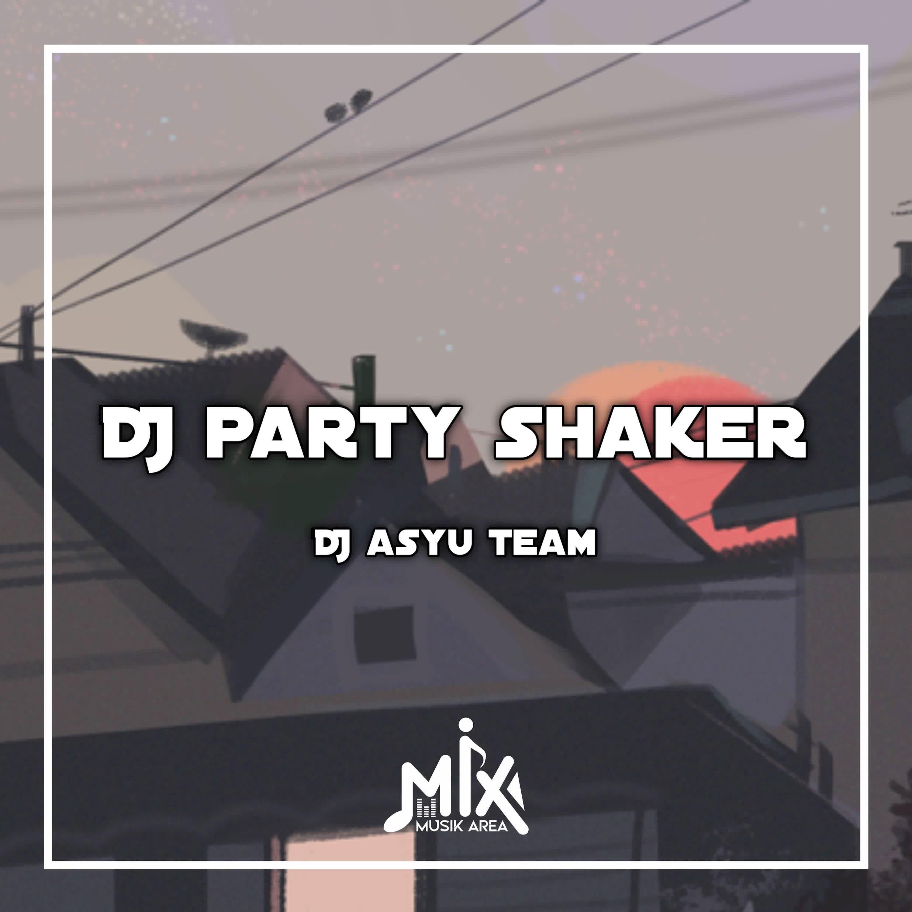 Релиз DJ Party Shaker