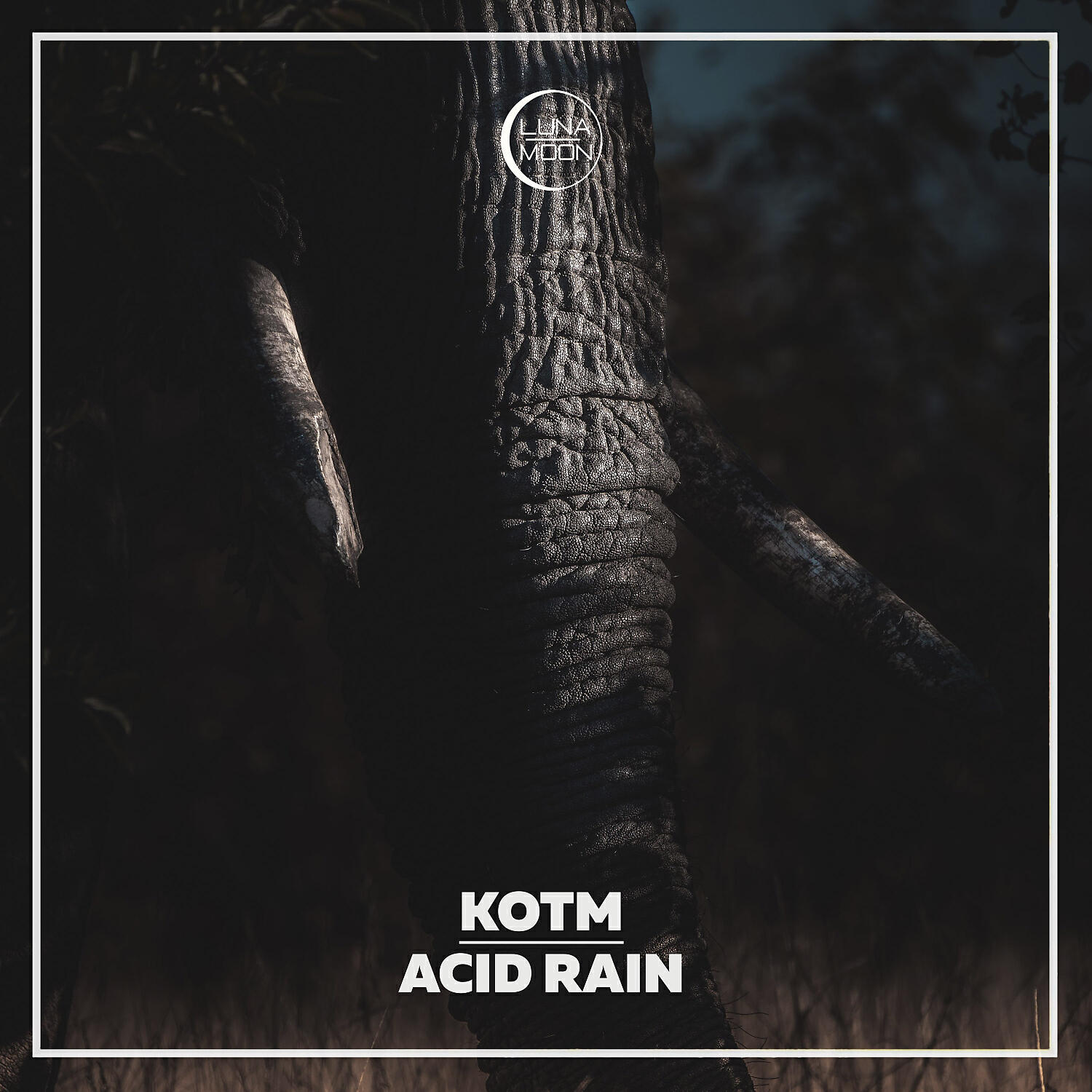 Релиз Acid Rain