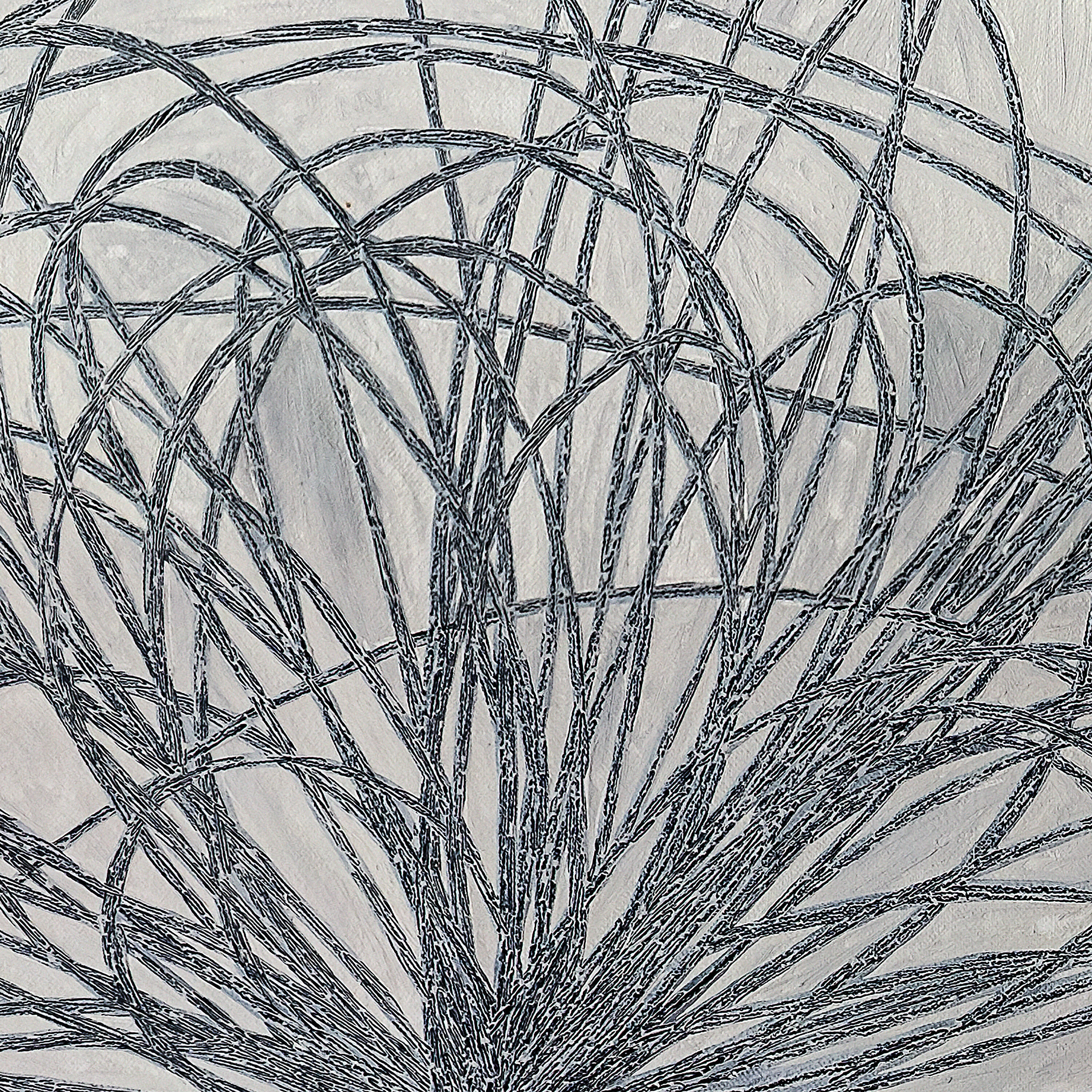 Релиз Hausi