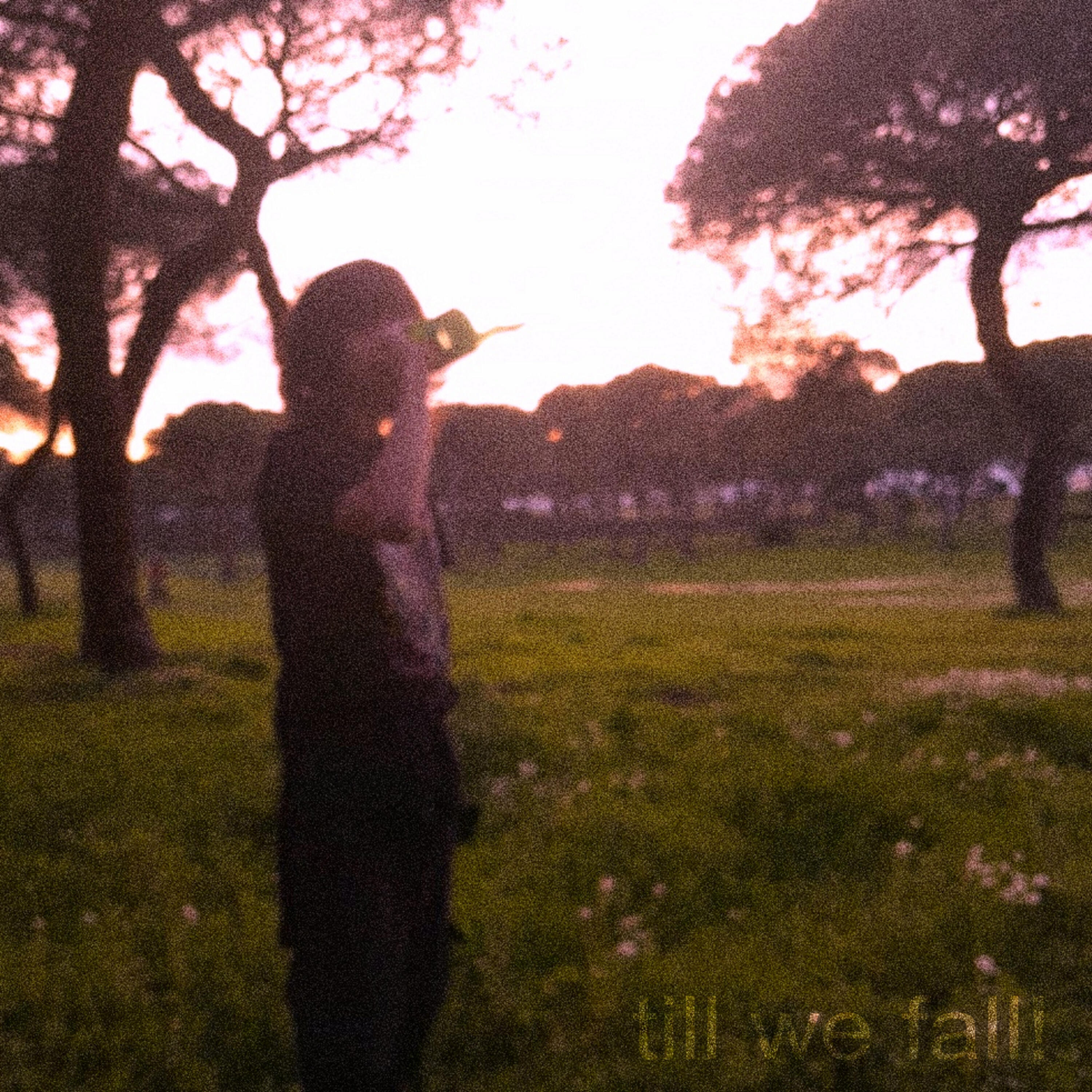 Релиз 'Till We Fall!