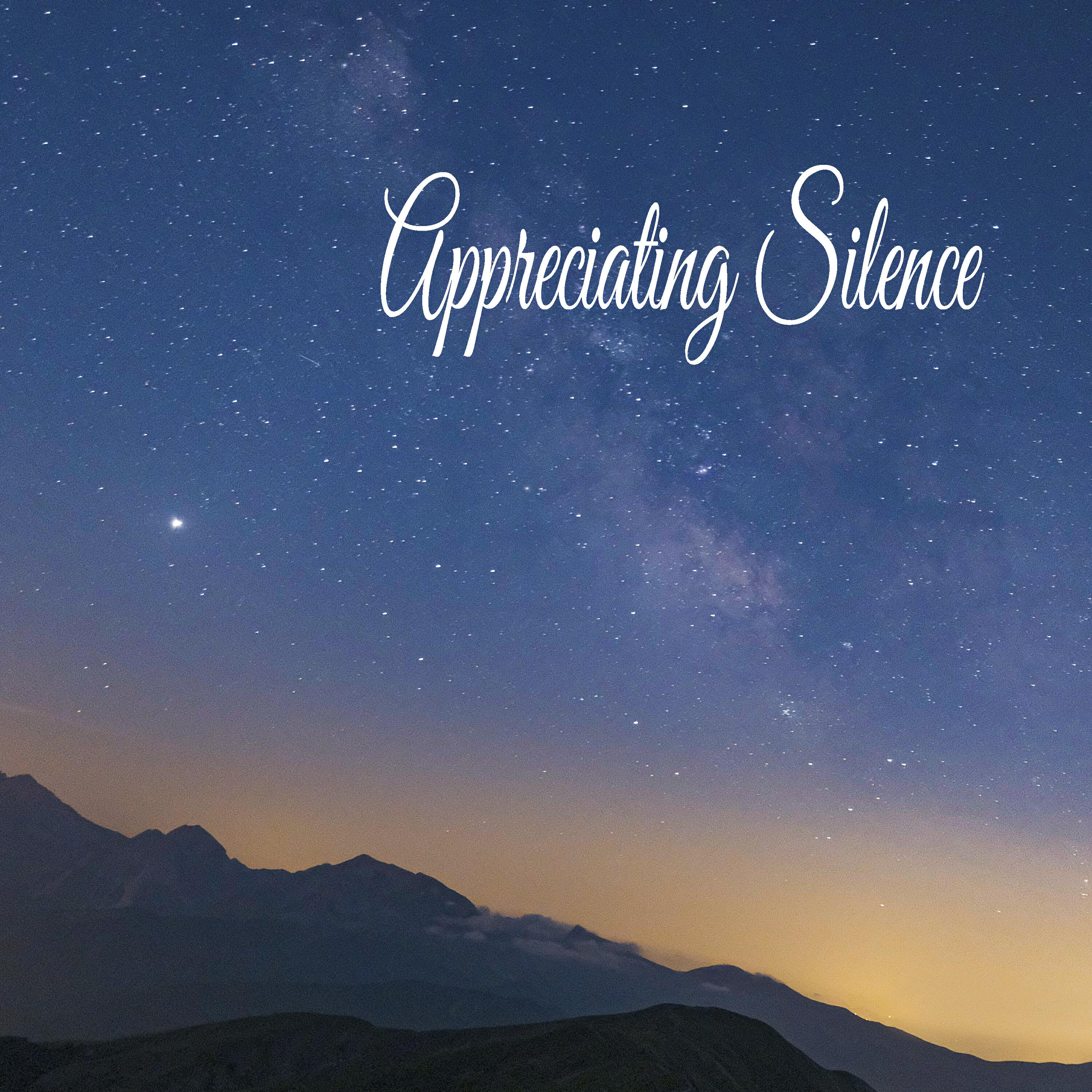 Релиз Appreciating Silence