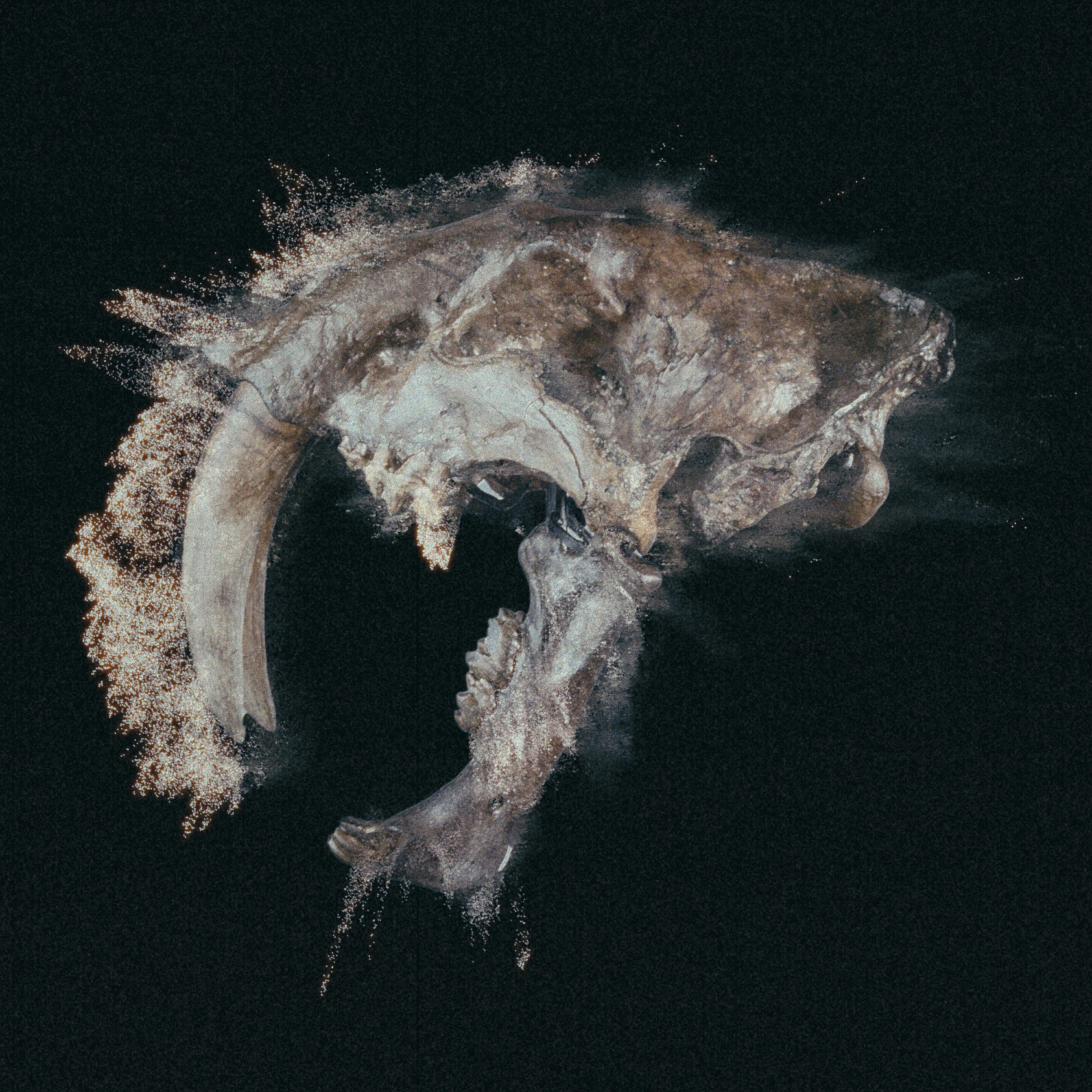 Релиз Sabretooth