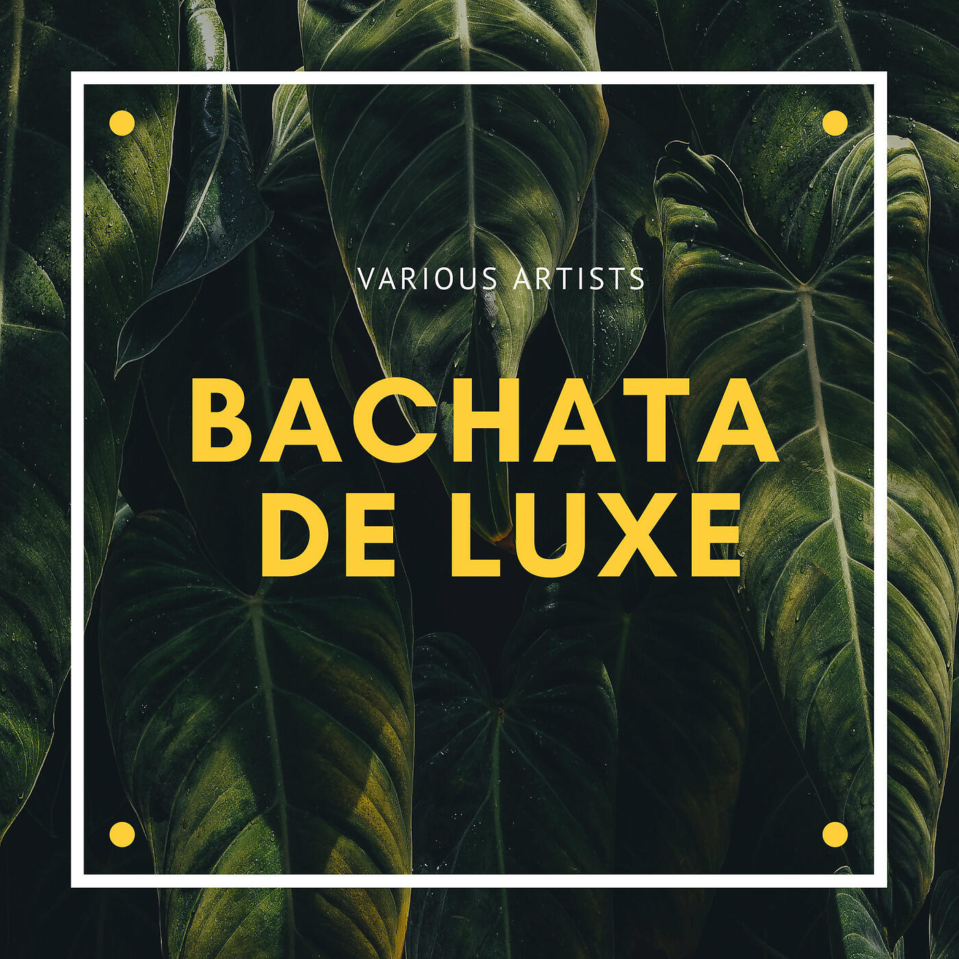 Релиз Bachata de Luxe