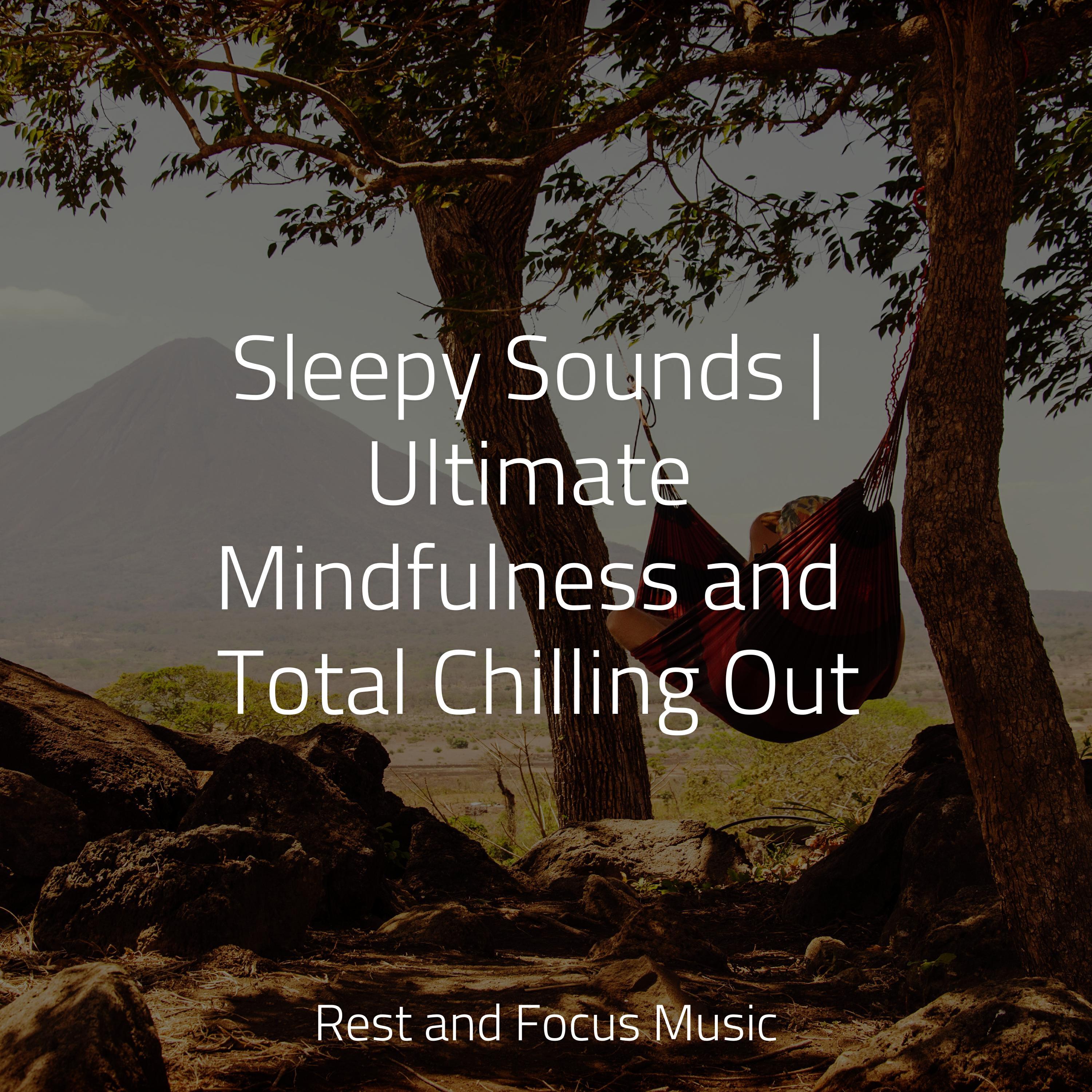 Релиз Sleepy Sounds | Ultimate Mindfulness and Total Chilling Out