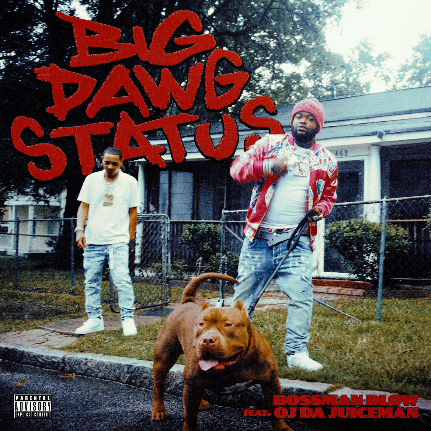 Релиз Big Dawg Status