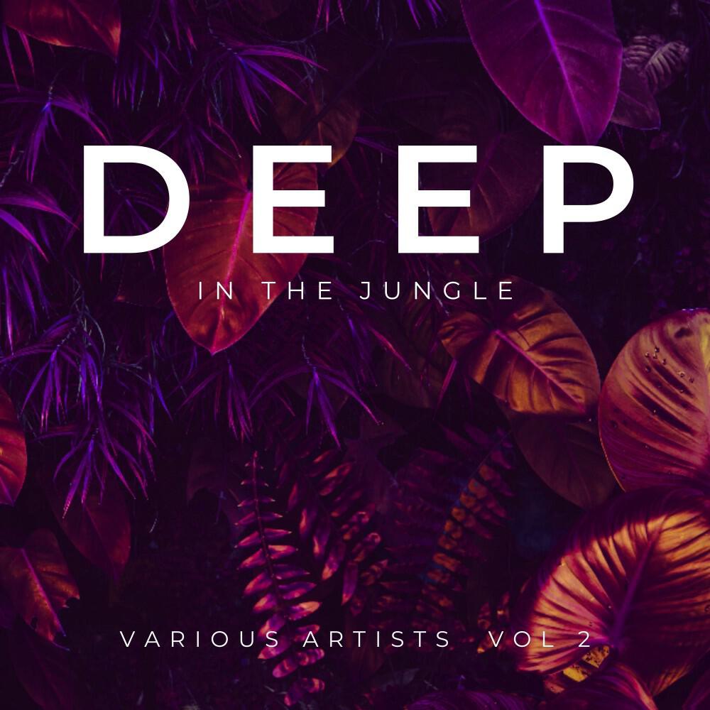 Релиз Deep in the Jungle, Vol. 2