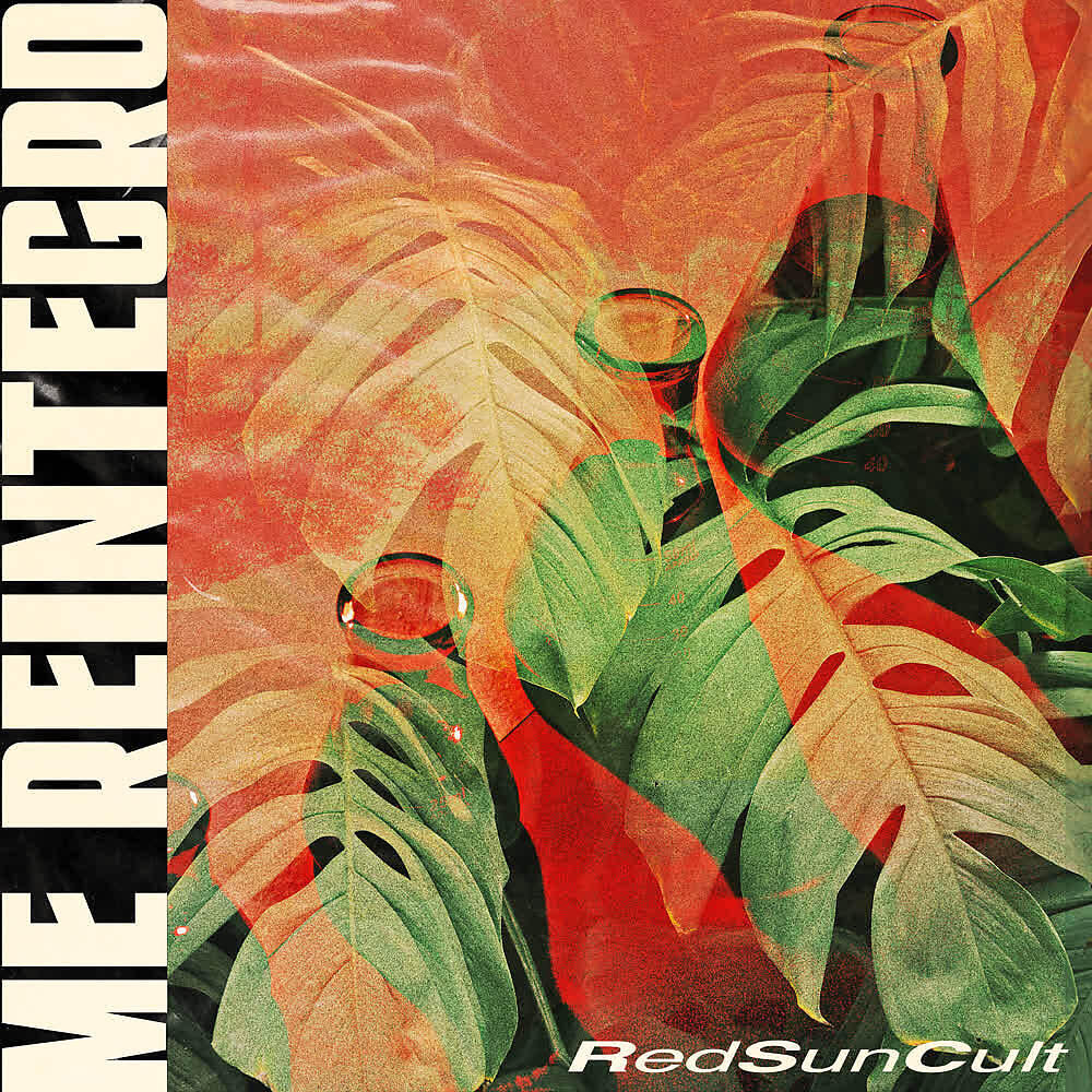 Релиз Me Reintegro