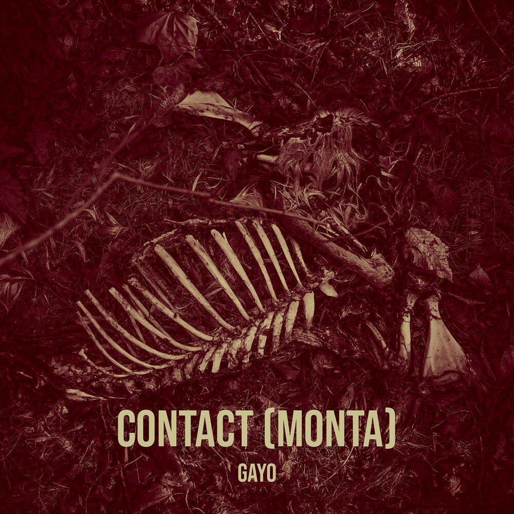 Релиз Contact