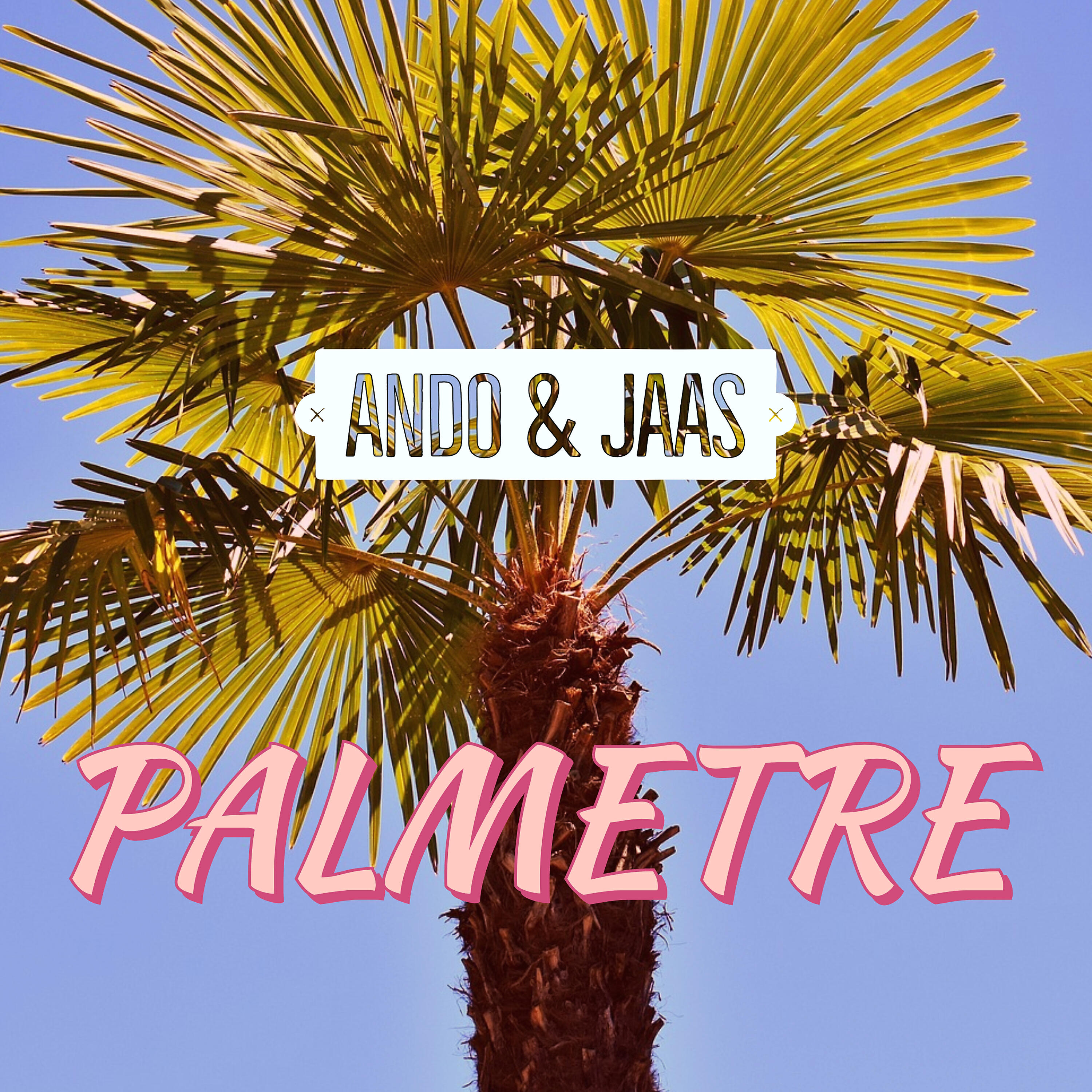 Релиз Palmetre