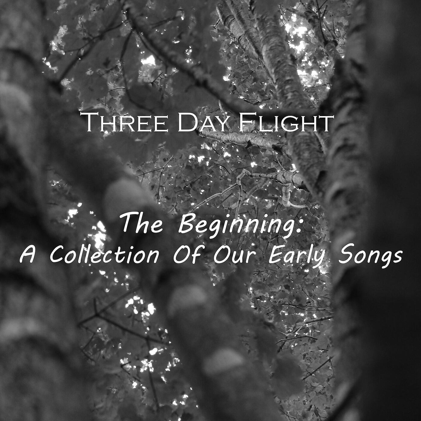 Релиз The Beginning: A Collection of Our Early Songs