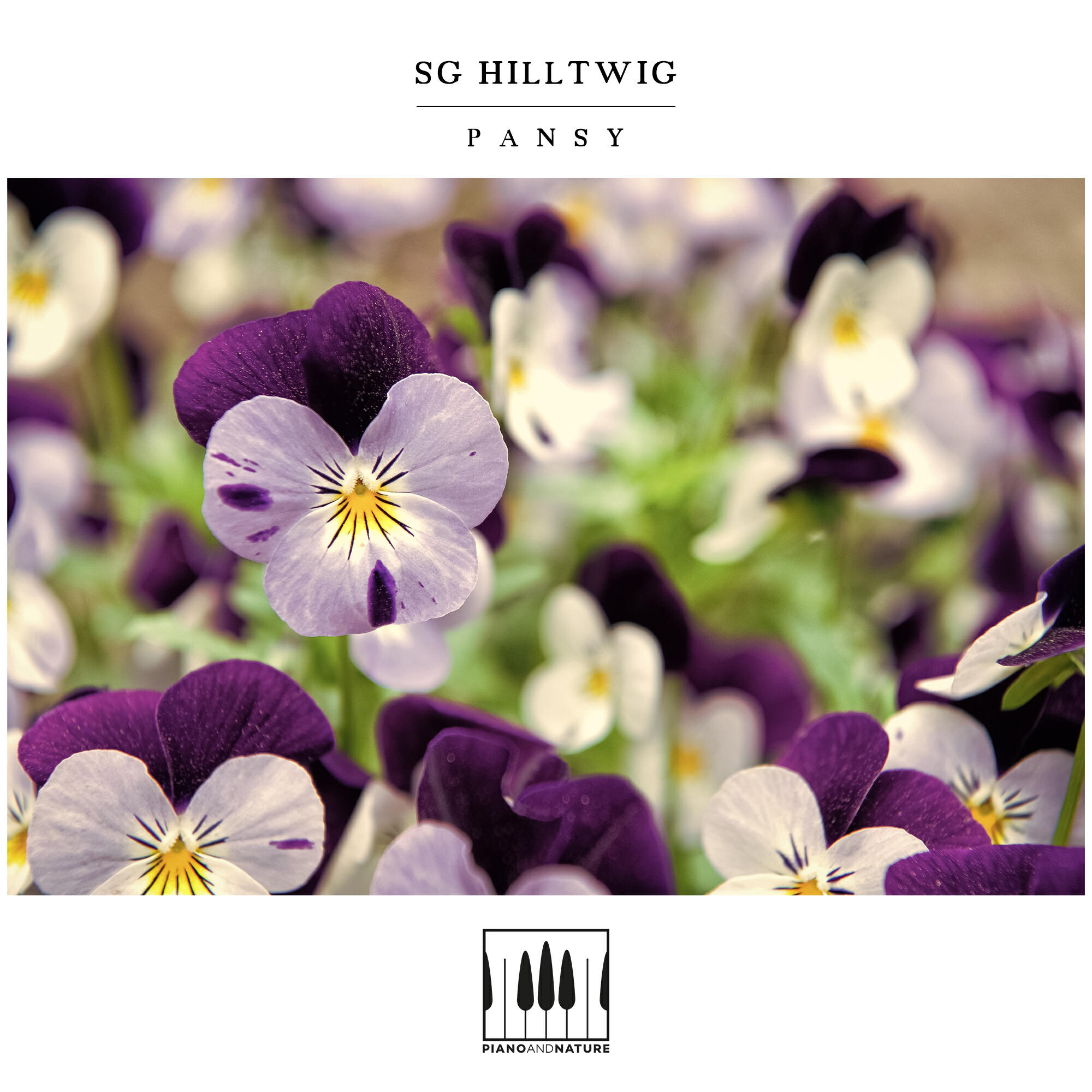 SG Hilltwig