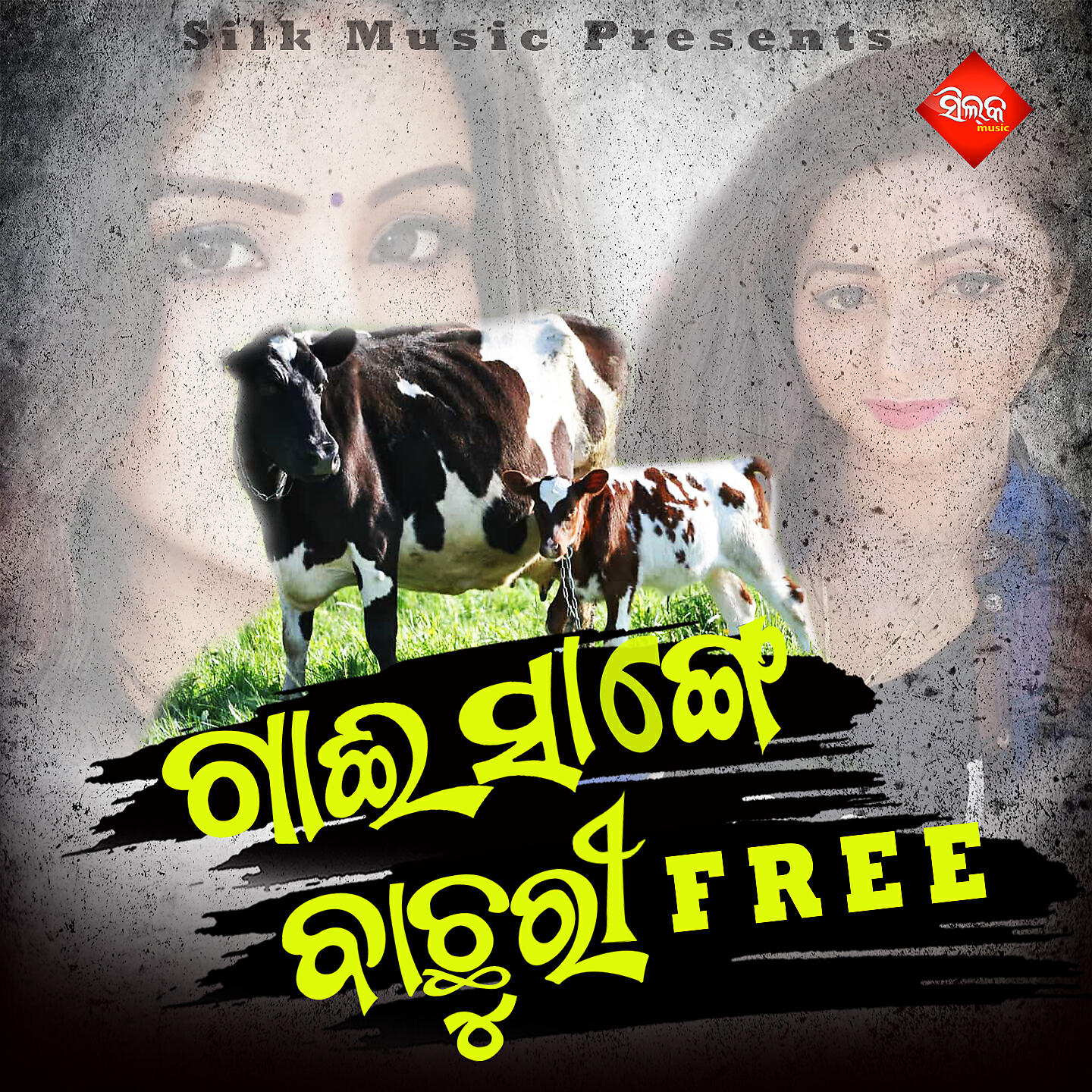 Релиз Gaei Sange Bachuri Free