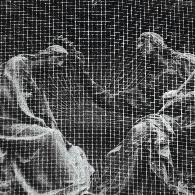 Model56K