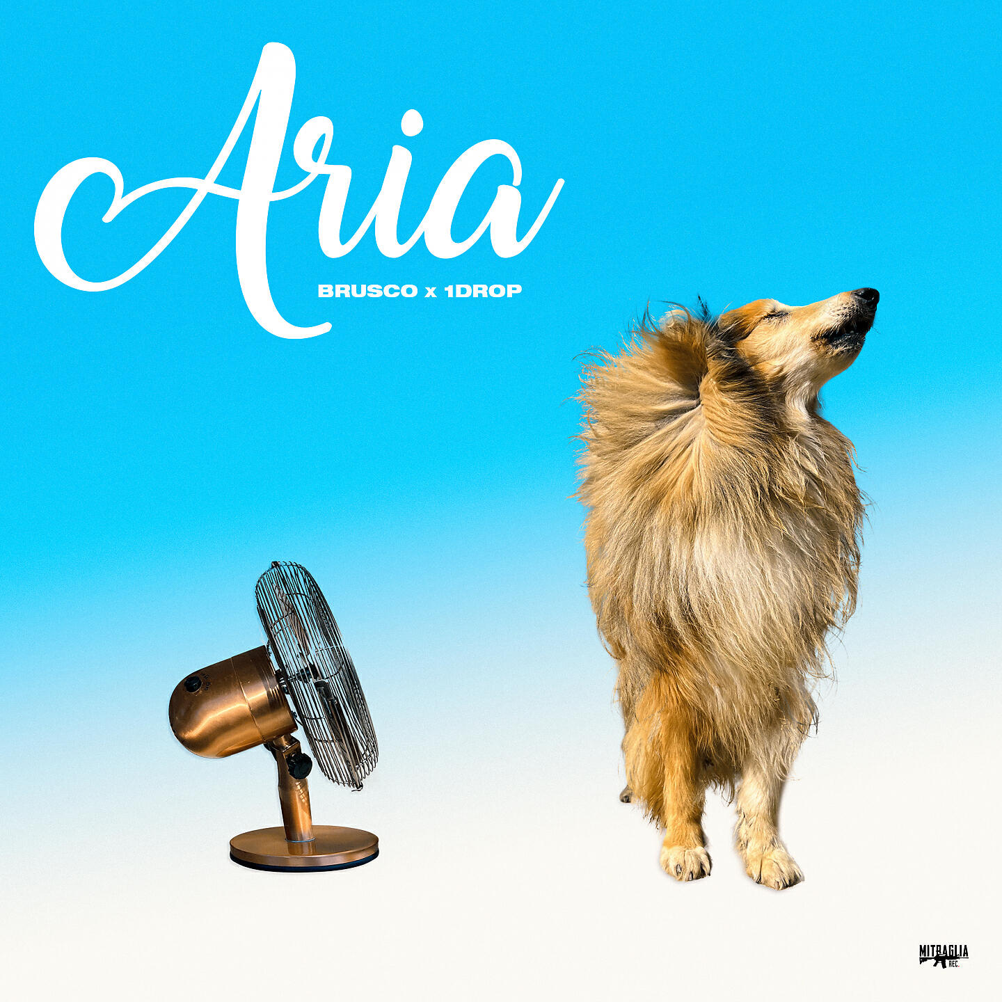 Релиз Aria