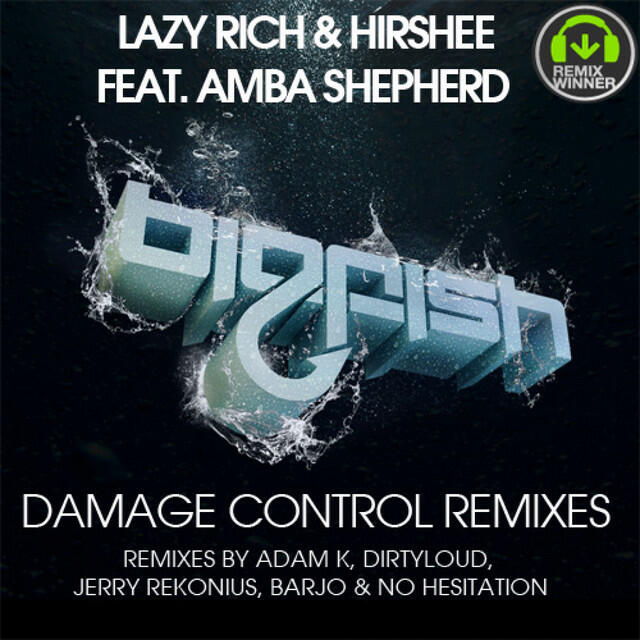 Релиз Damage Control Remixes