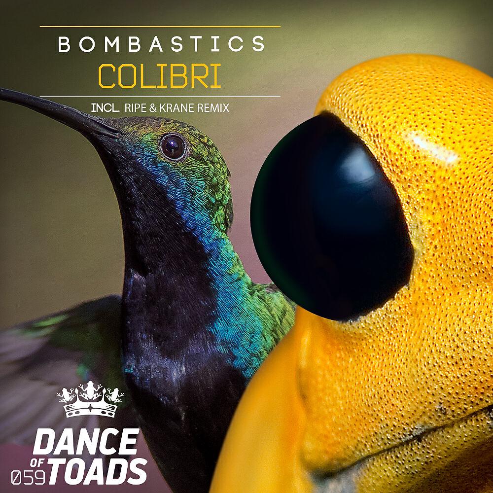 Релиз Colibri