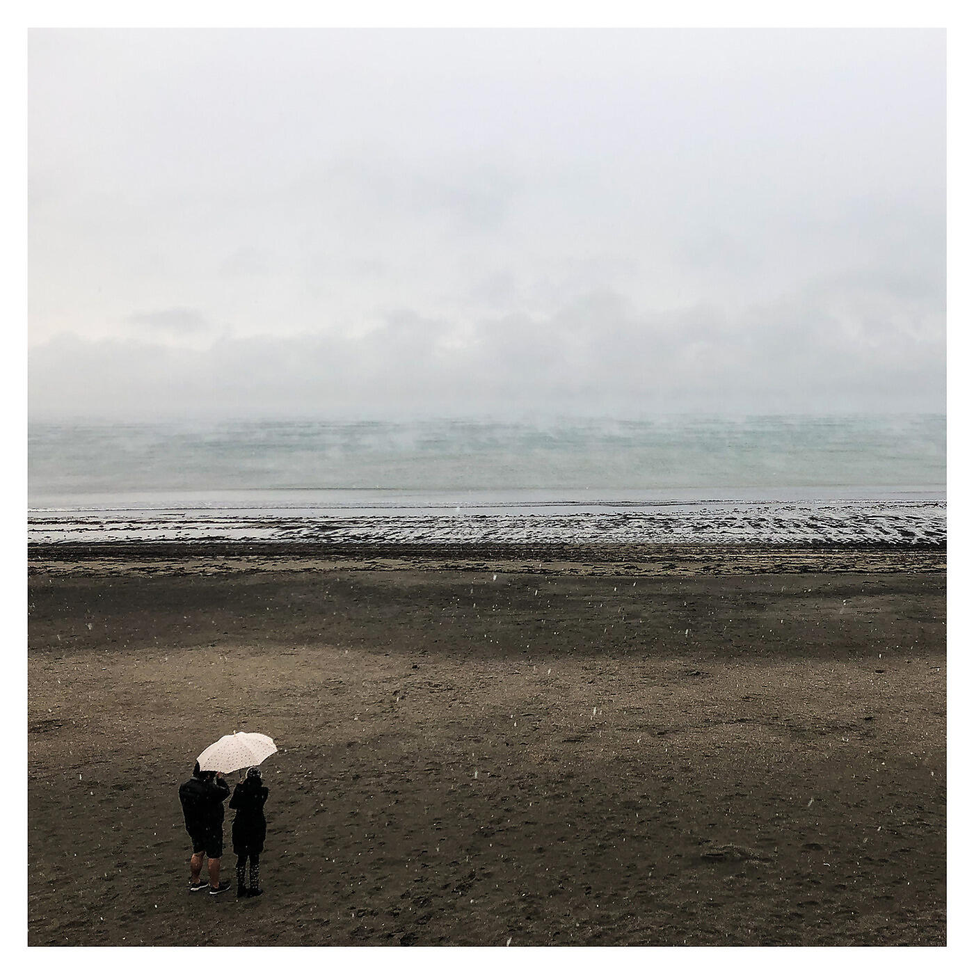 Релиз Musical Priest / Toss the Feathers / Lucy Campbell's