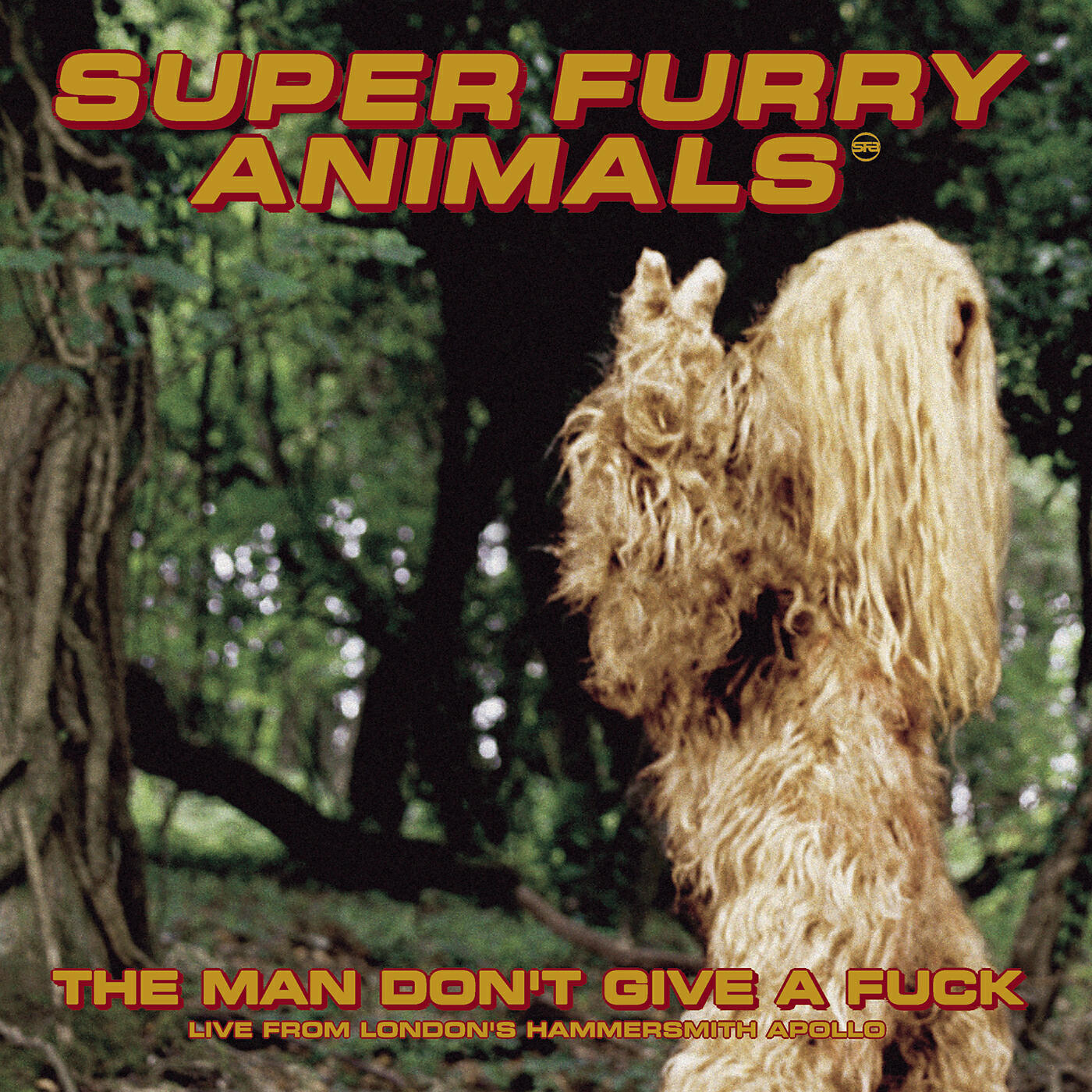 Релиз The Man Don't Give A Fuck