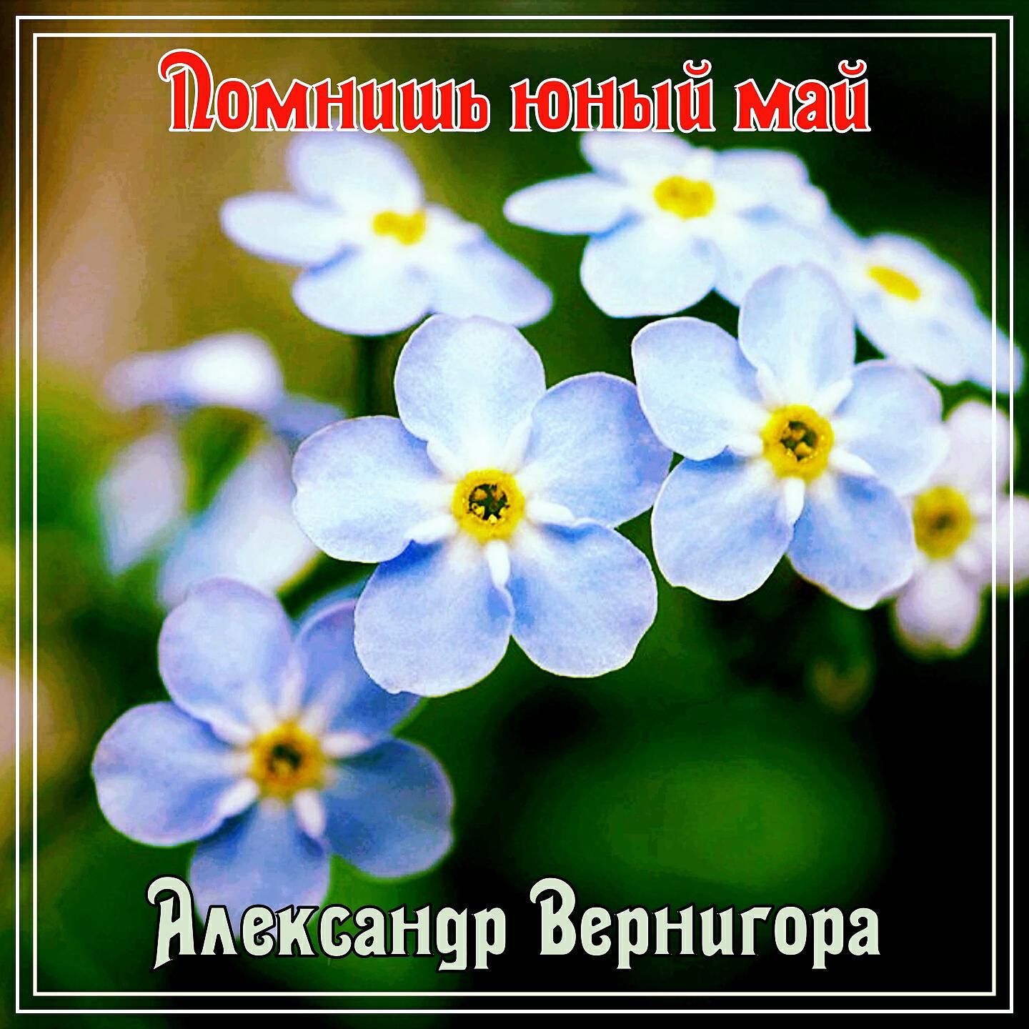 Релиз Помнишь юный Май