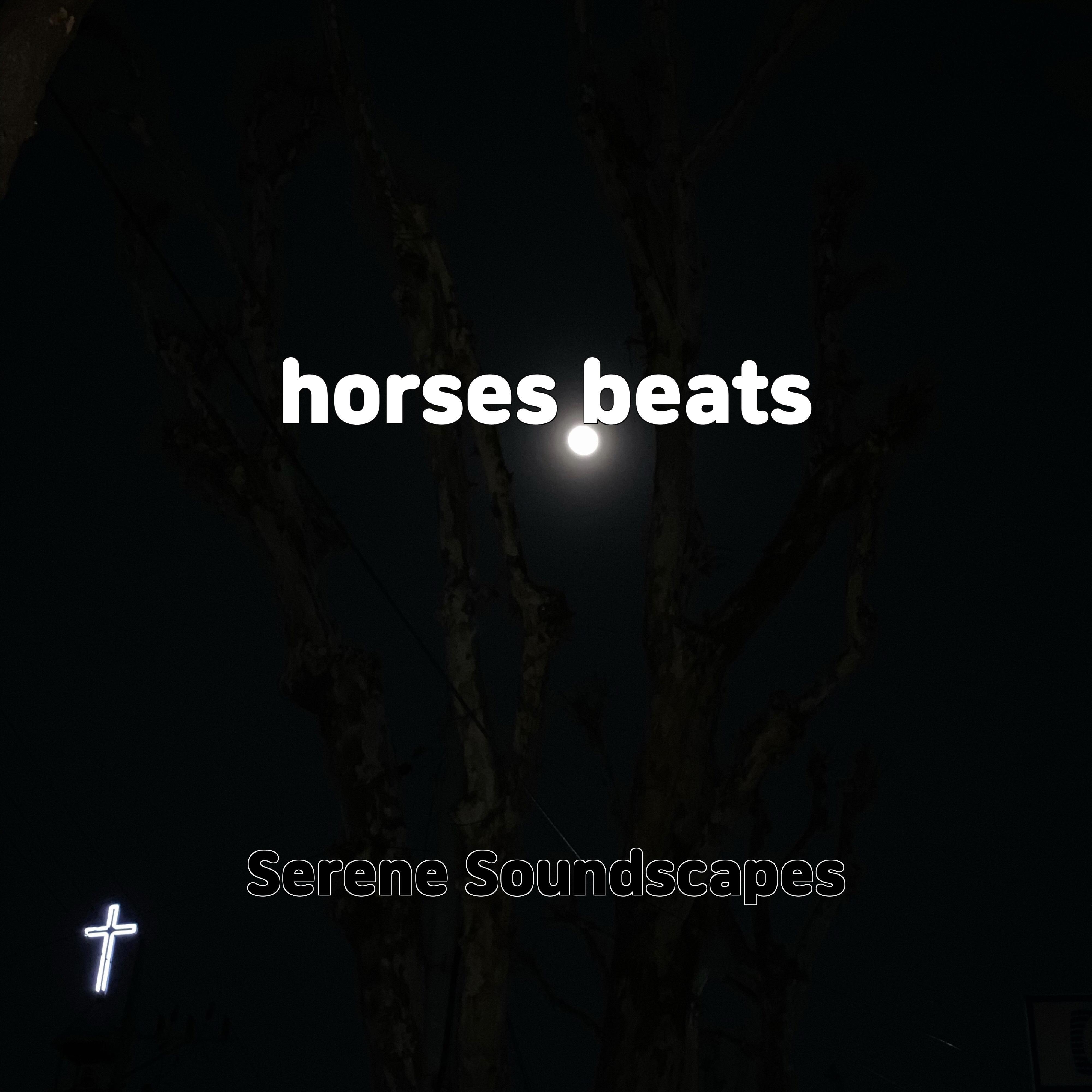 Релиз horses beats