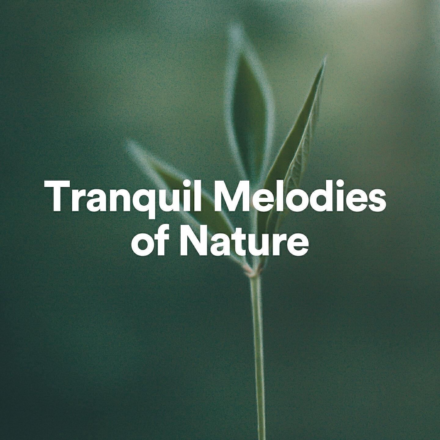 Tranquil Sounds of Nature