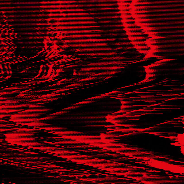 Релиз Steady