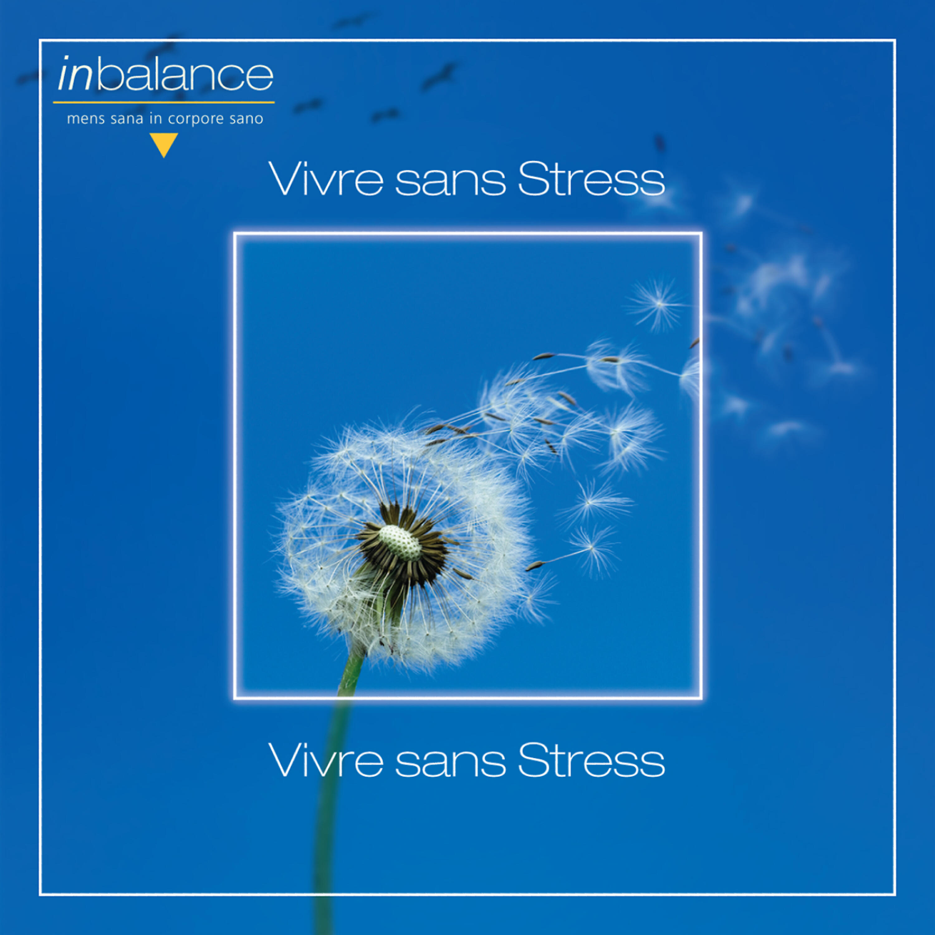Релиз Vivre sans Stress