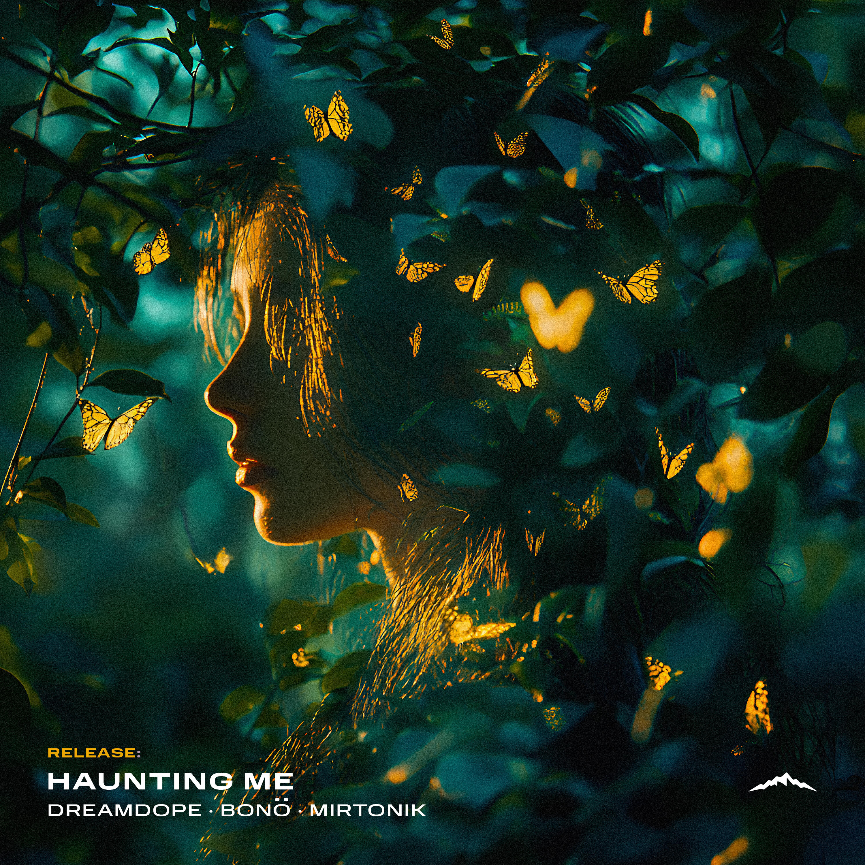 Постер альбома Haunting Me