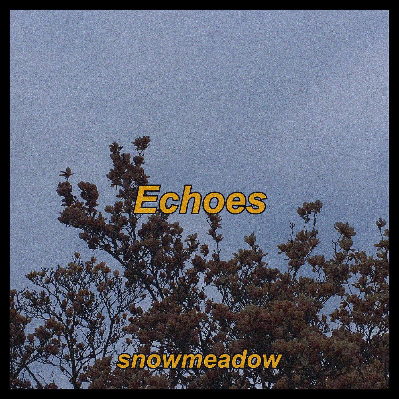 snowmeadow