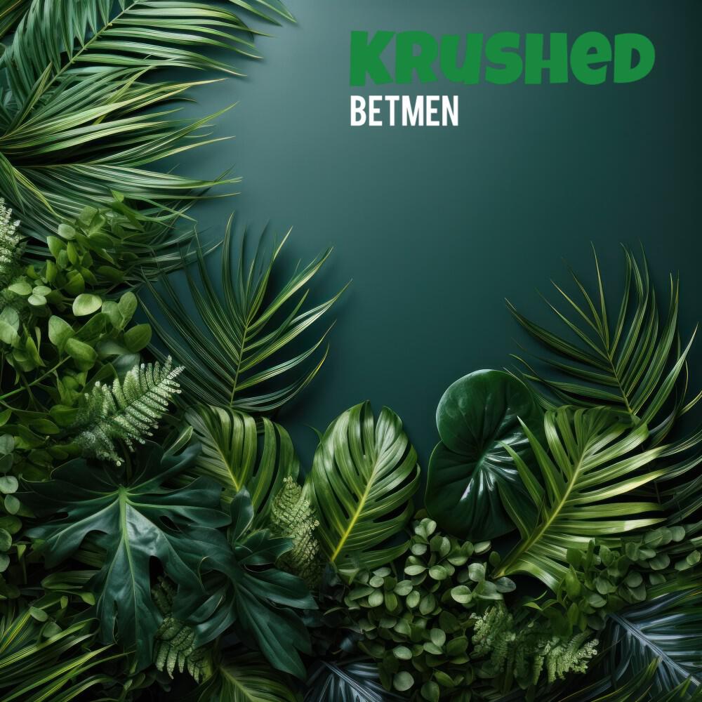 Релиз Krushed