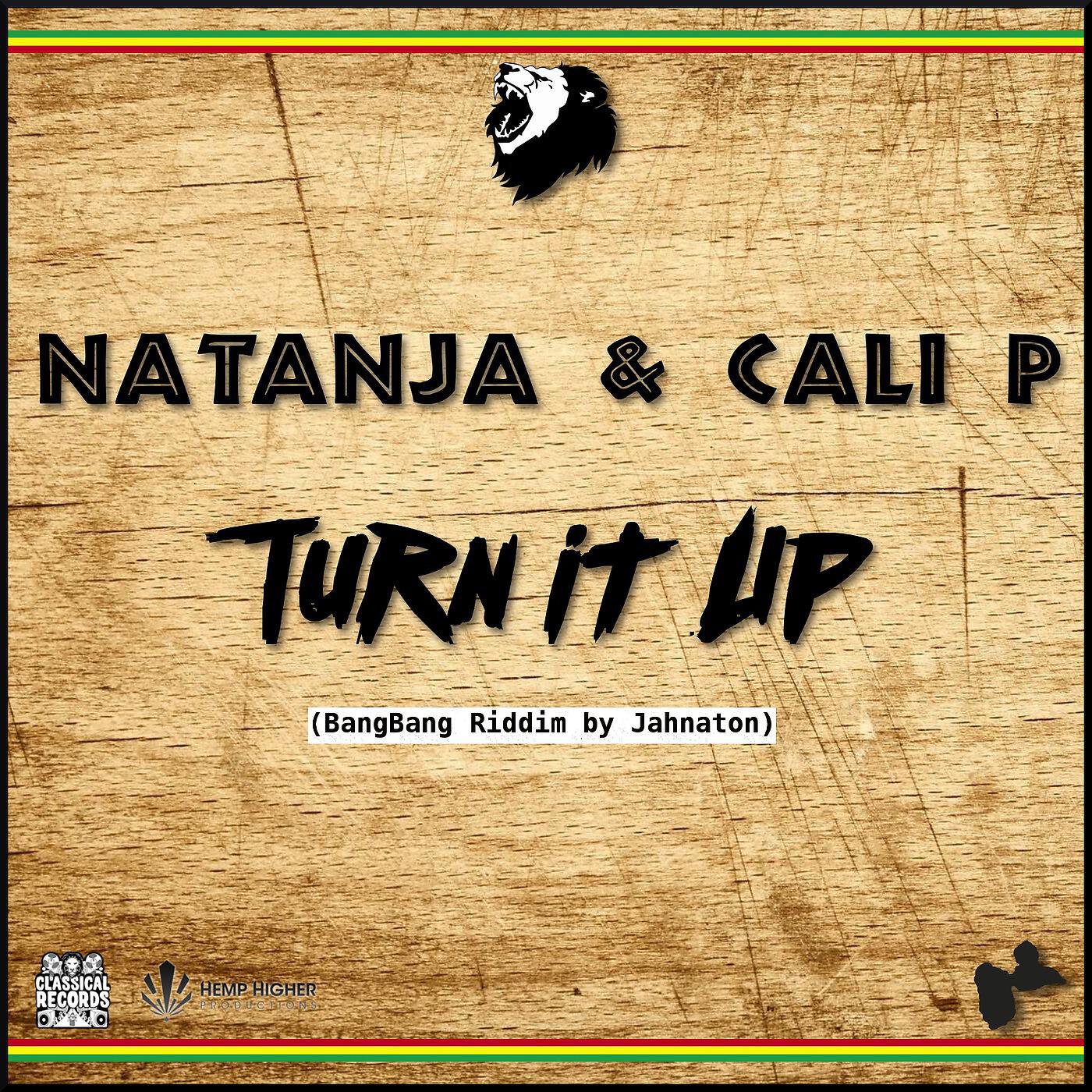 Релиз Turn It Up