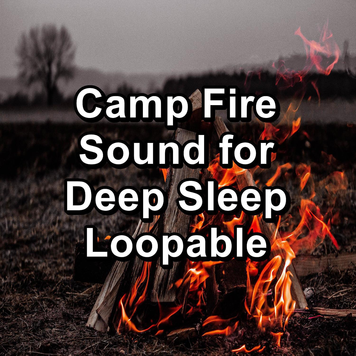 Релиз Camp Fire Sound for Deep Sleep Loopable