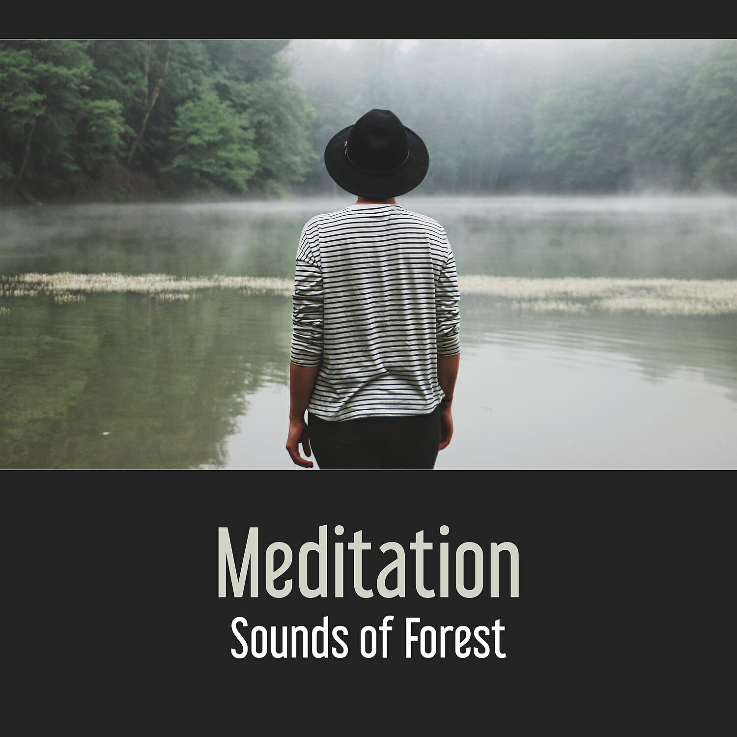 Релиз Meditation: Sounds of Forest – Calming Your Mind, Yoga Concentration, Stillness, Zen Relaxation, Positive Energy, Mental Awakening, Opening Your Chakras
