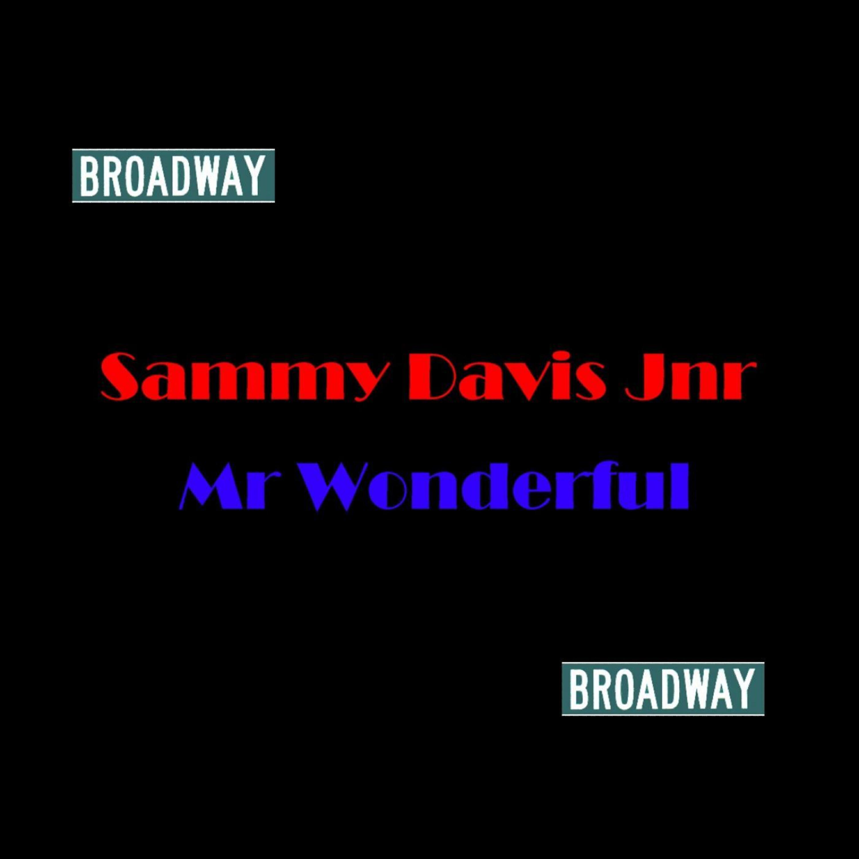 Релиз Mr Wonderful