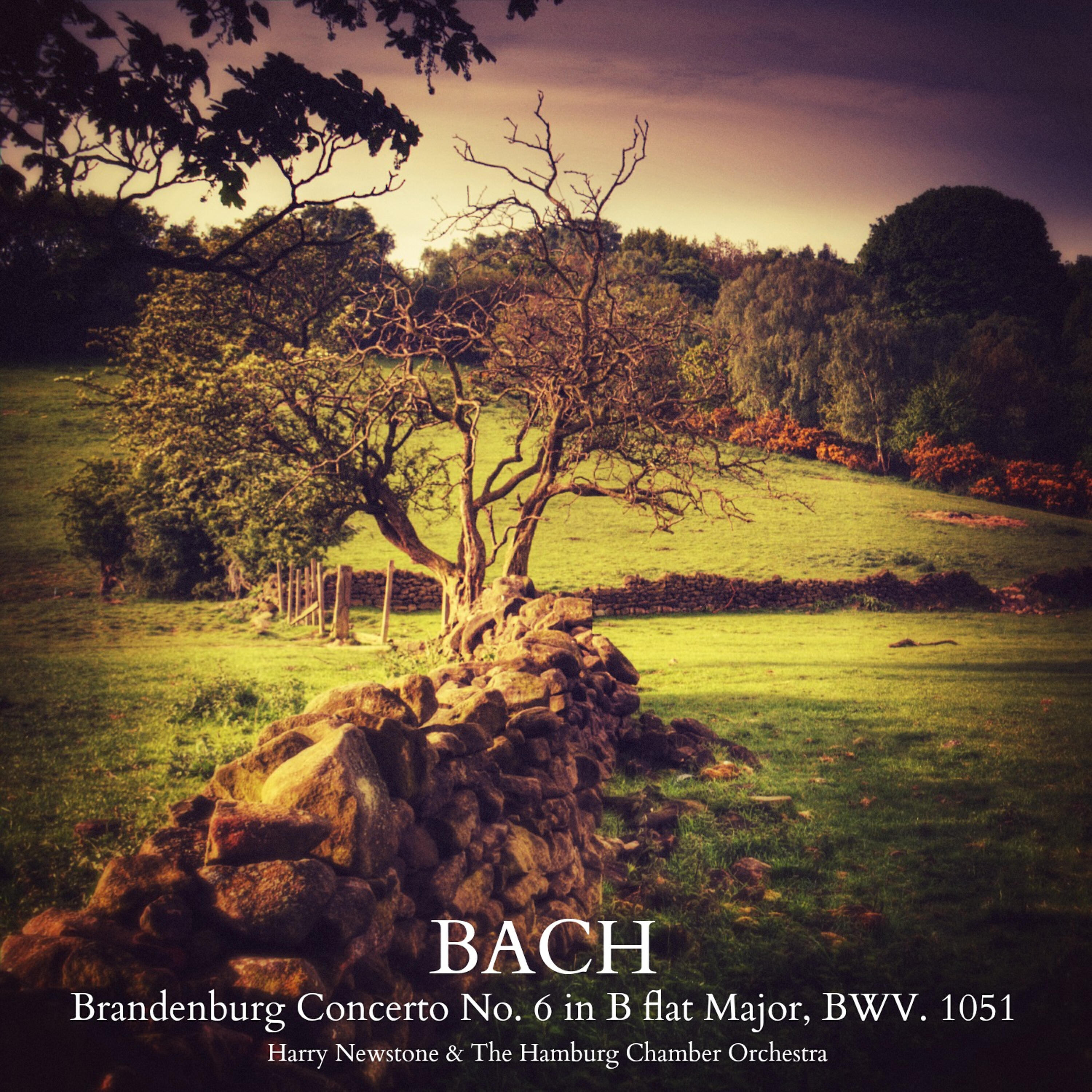 Релиз Bach: Brandenburg Concerto No. 6 in B Flat Major, BWV. 1051