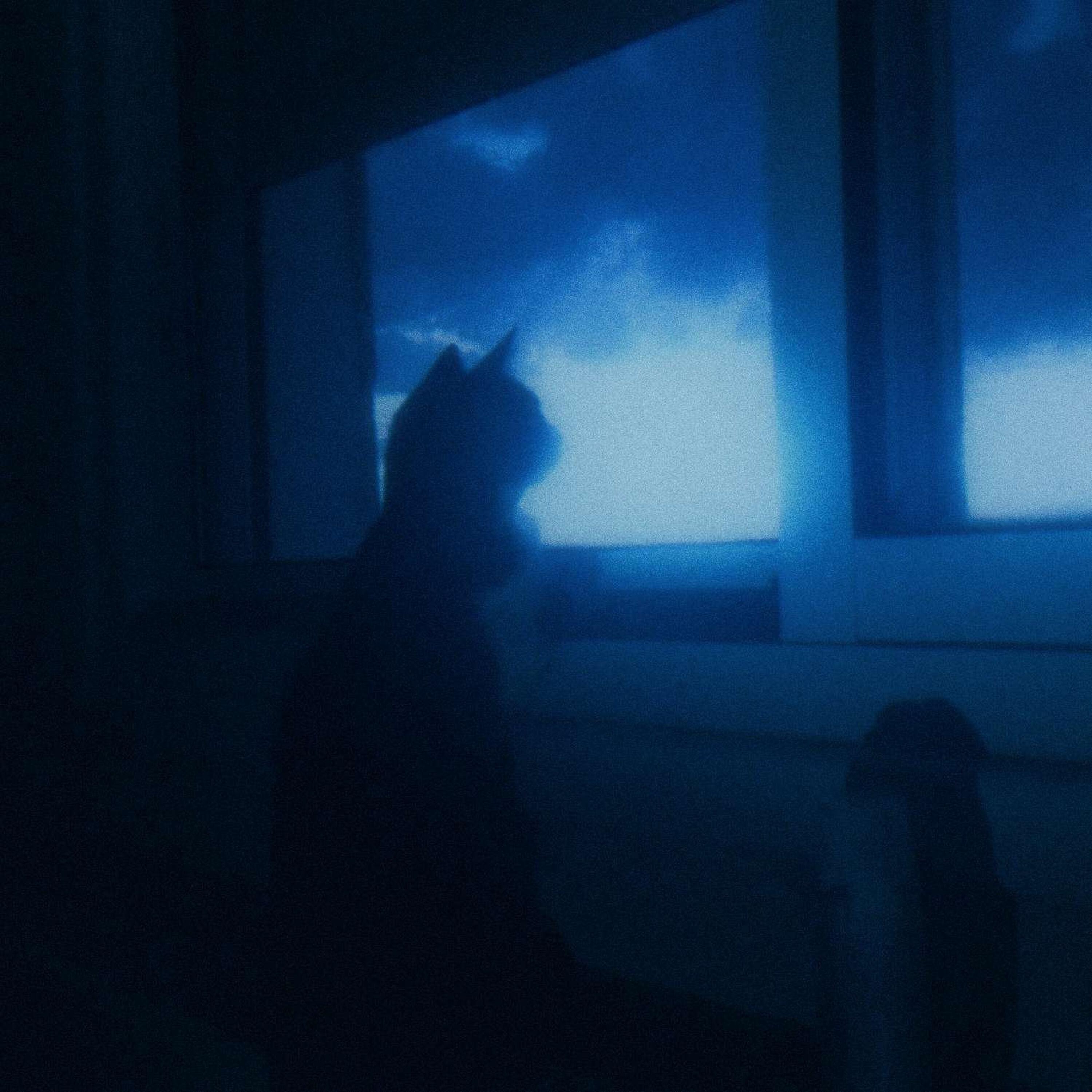 Релиз someday soon