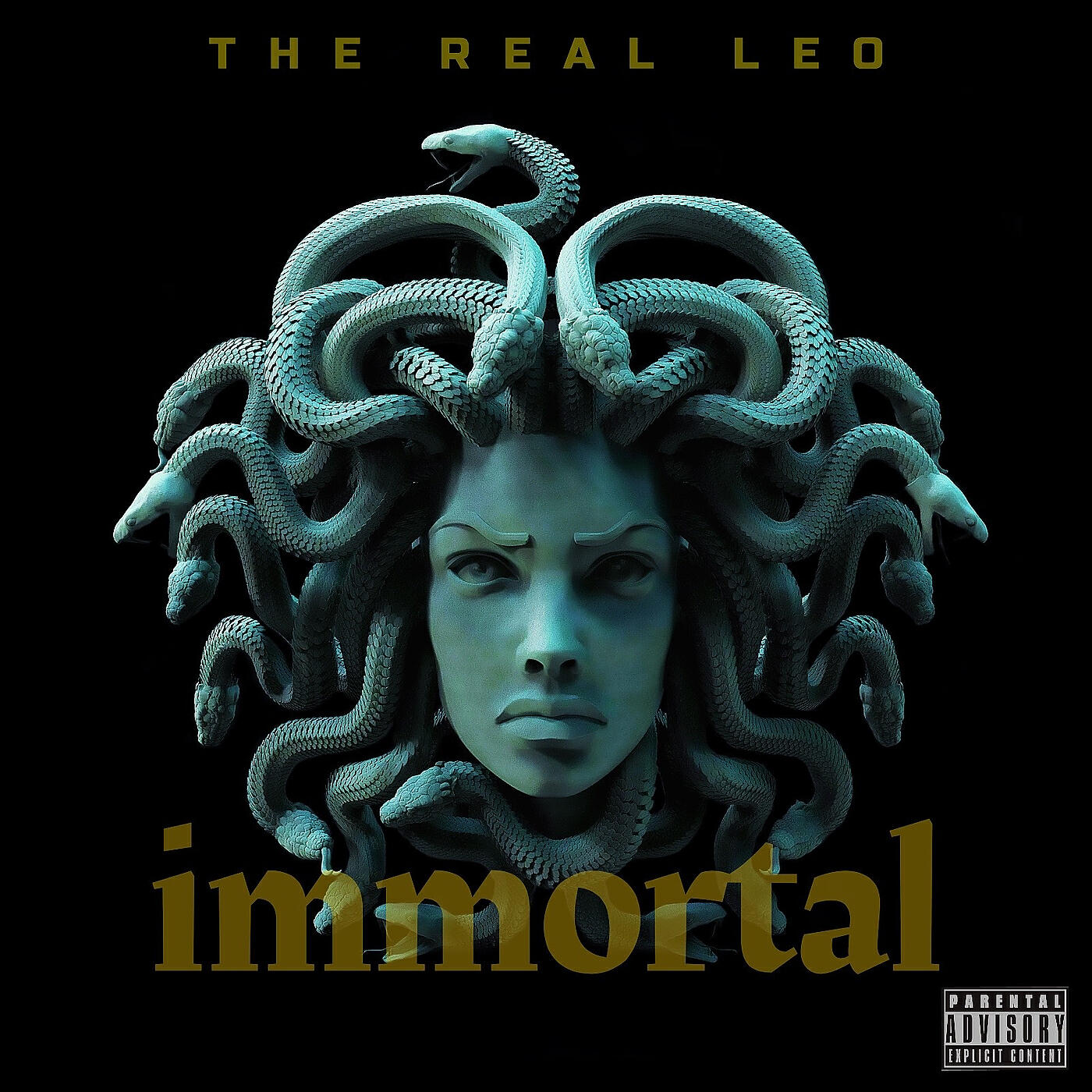 Постер альбома Immortal