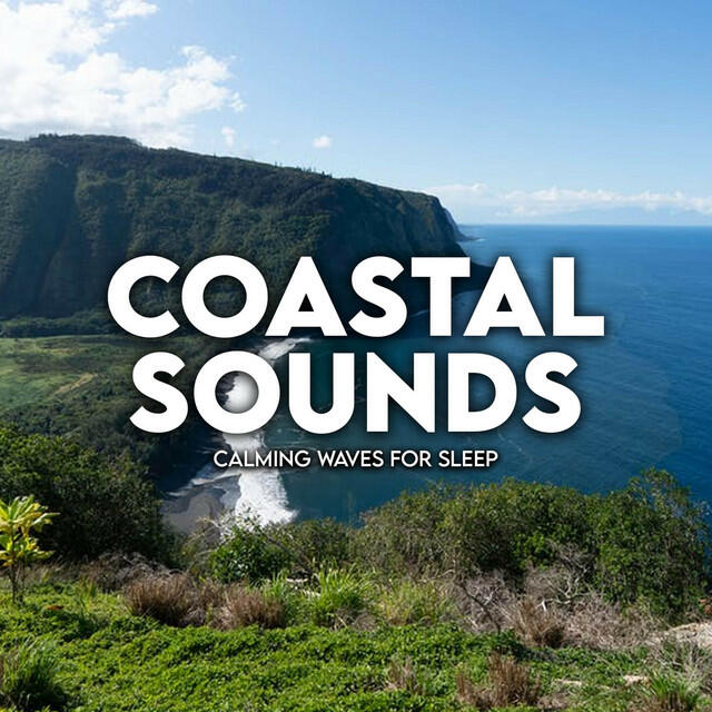 Релиз Calming Waves For Sleep