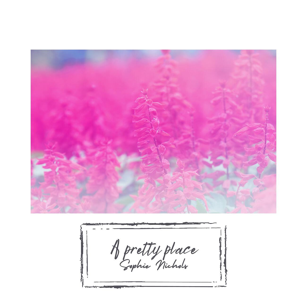 Релиз A pretty place