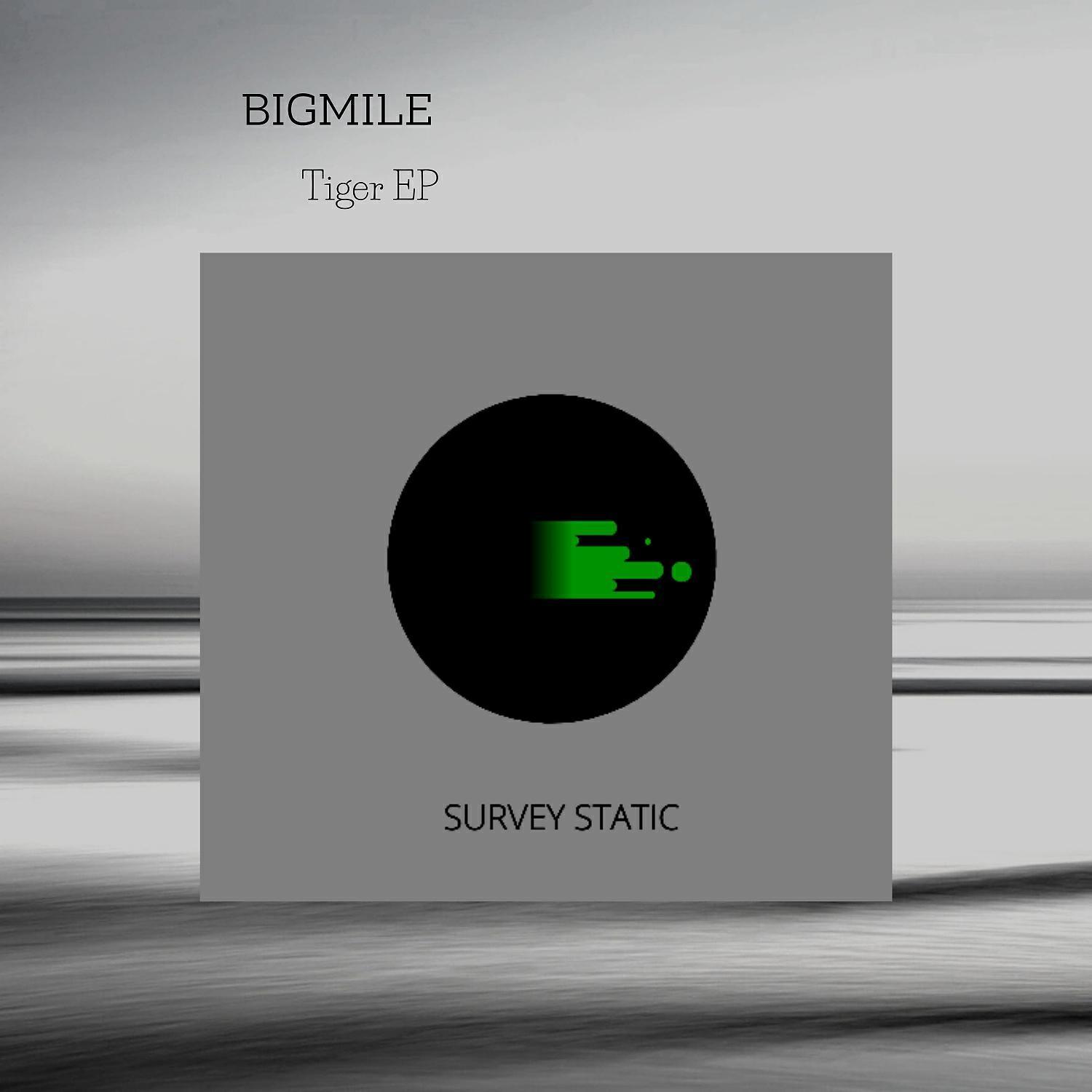 Bigmile