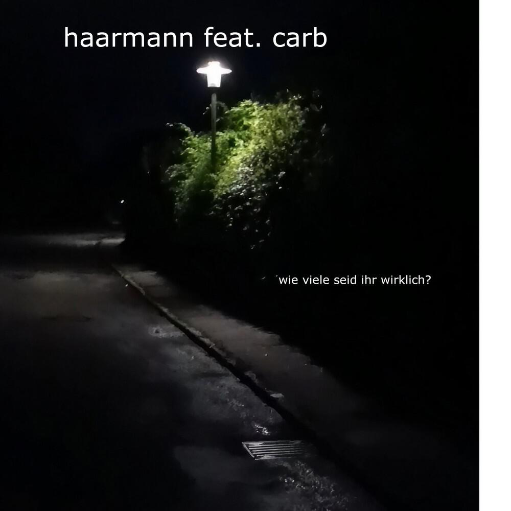 Релиз Wie viele seid ihr wirklich?