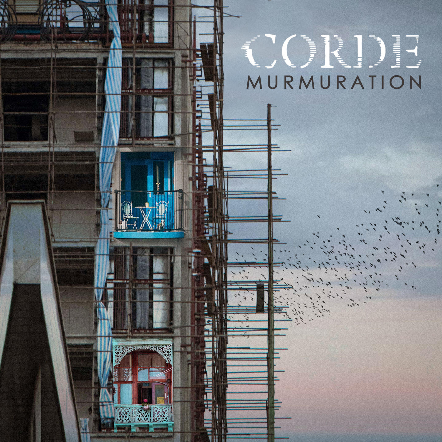 Релиз Murmuration