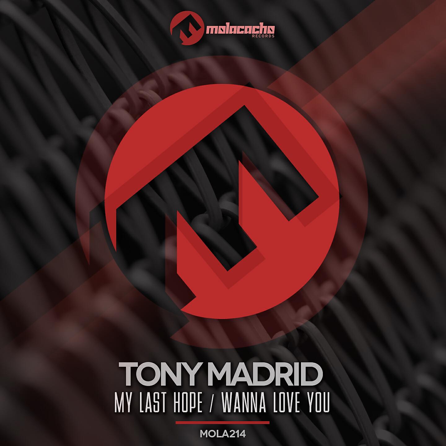Релиз My Last Hope / Wanna Love You