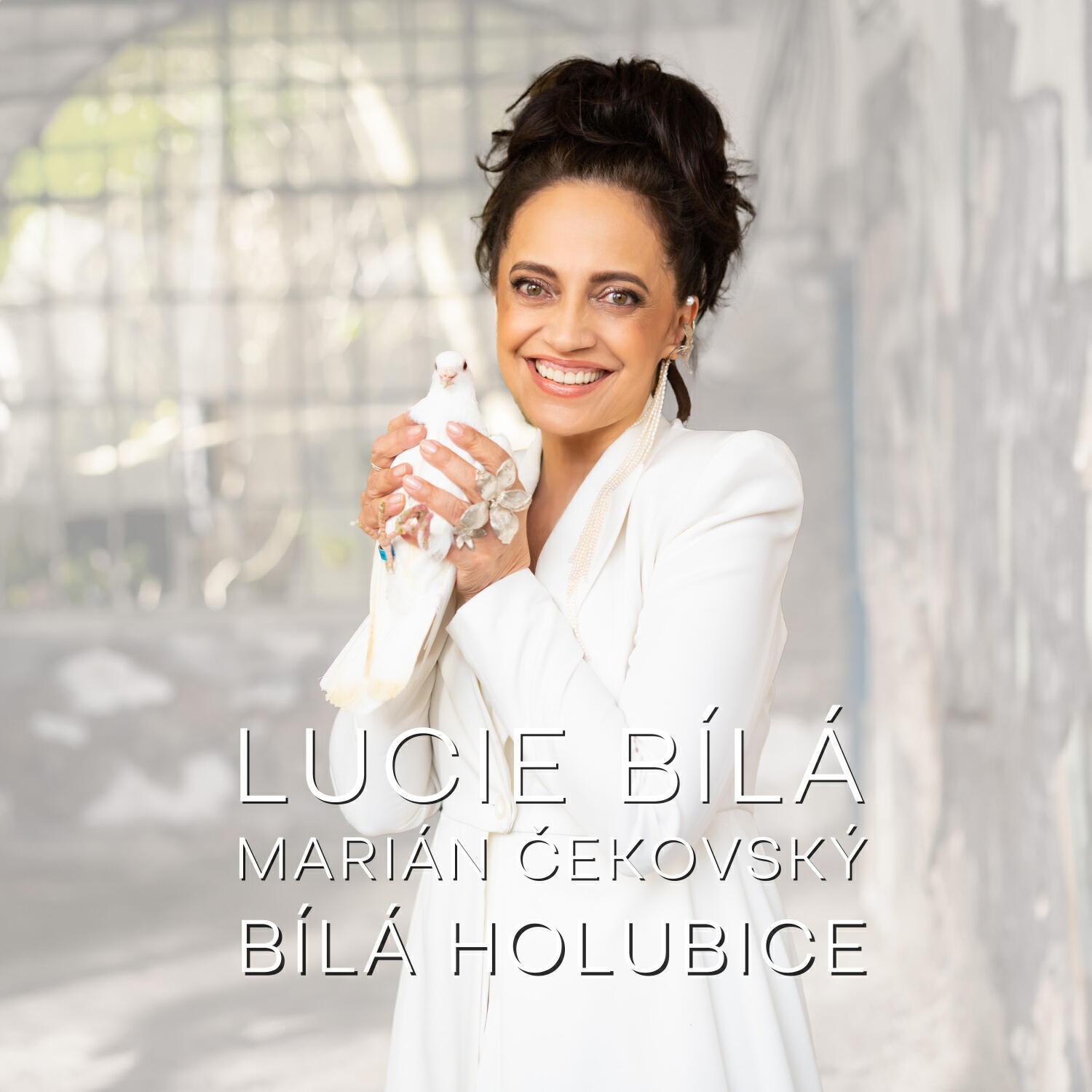 Постер альбома Bílá holubice