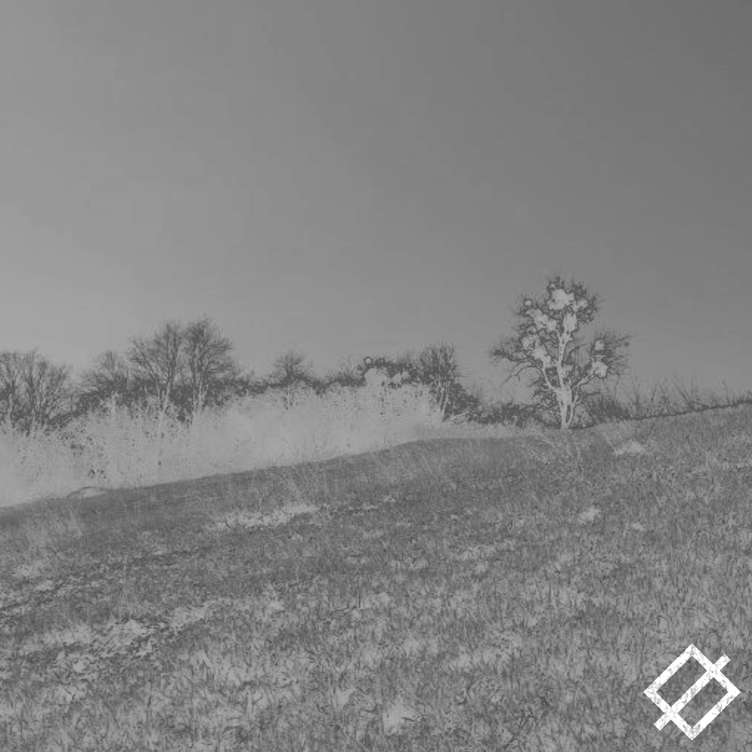 Релиз DREAMS (Versions)